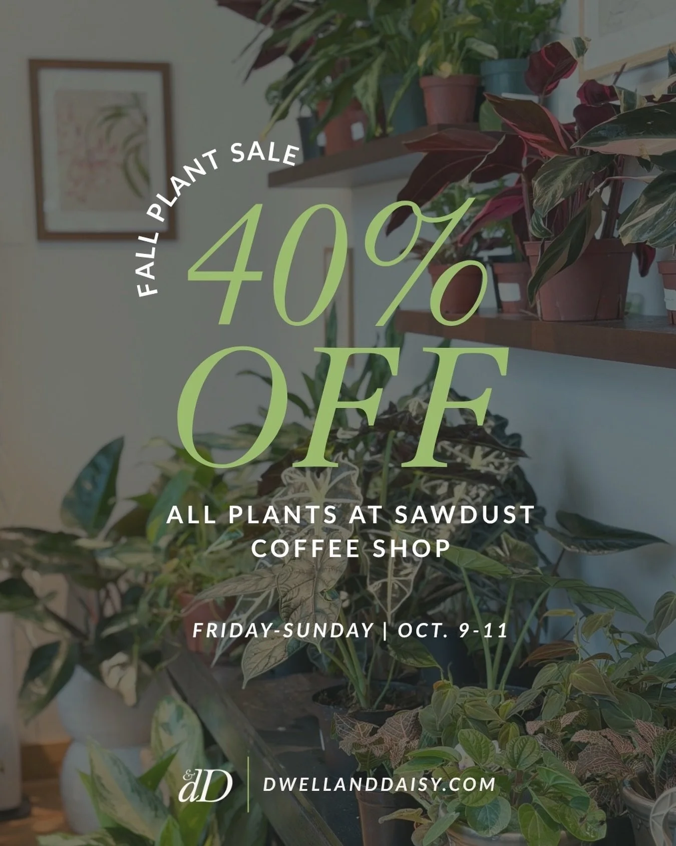 There&rsquo;s no better time to bring some green indoors. Fall is perfect for adding houseplants to your space before the winter blues set in. This weekend only, plants are 40% off at @sawdust_coffeeshop! Swing by for a latte and leave with a new lea
