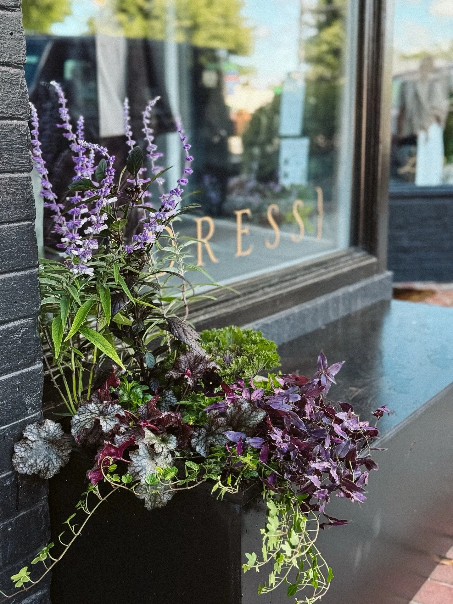 We recently completed these plant installments for @blacktulipsc in Fountain Inn. Dark, moody, and oh-so-chic. They&rsquo;re celebrating a new season of style tomorrow, Oct. 15, from 5-8 p.m. The event includes champagne, French treats, and an exclus