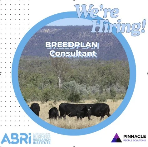 ABRI Seeks BREEDPLAN Consultant