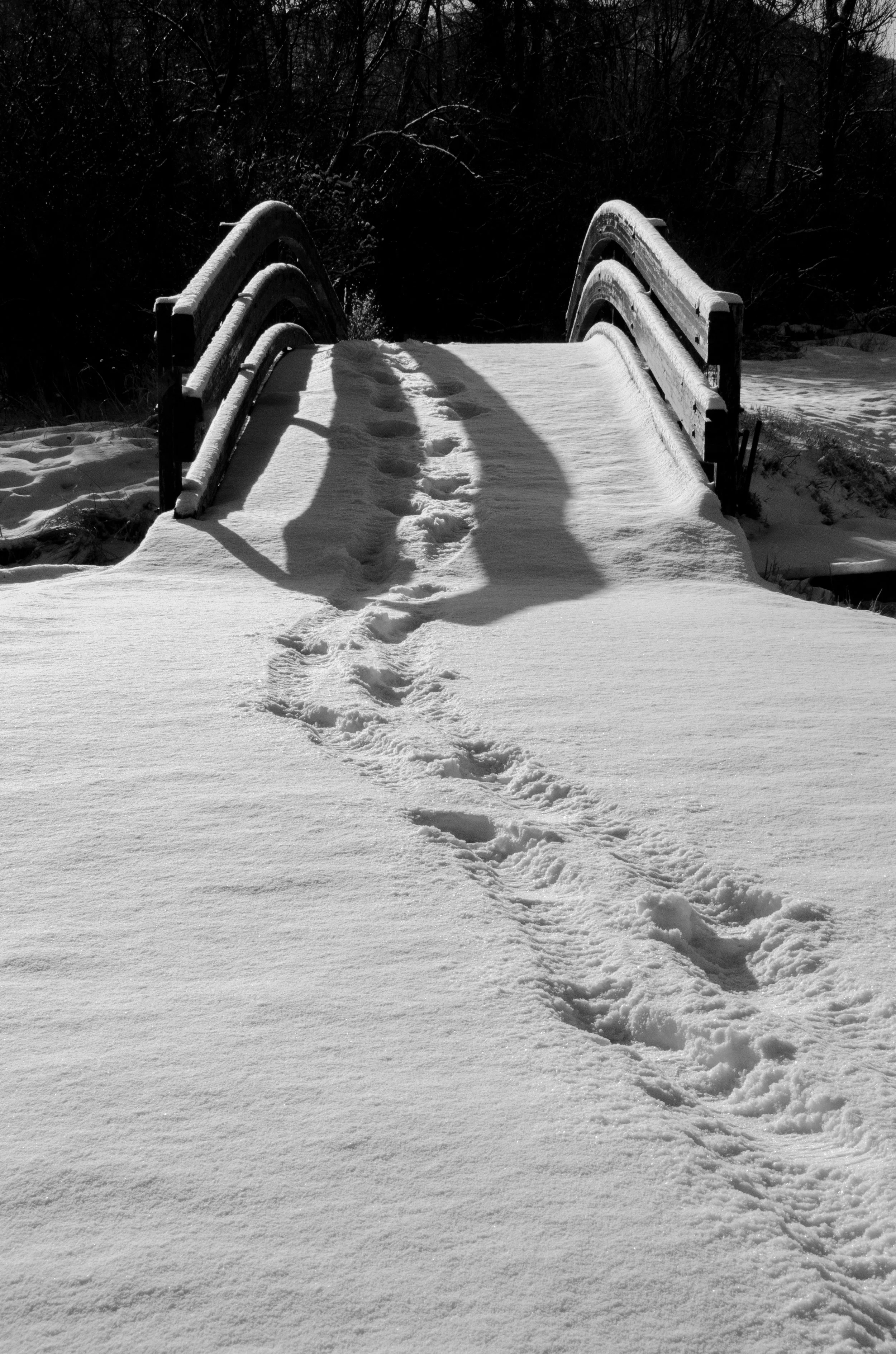 Boardwalk RIverfront B&W.jpg