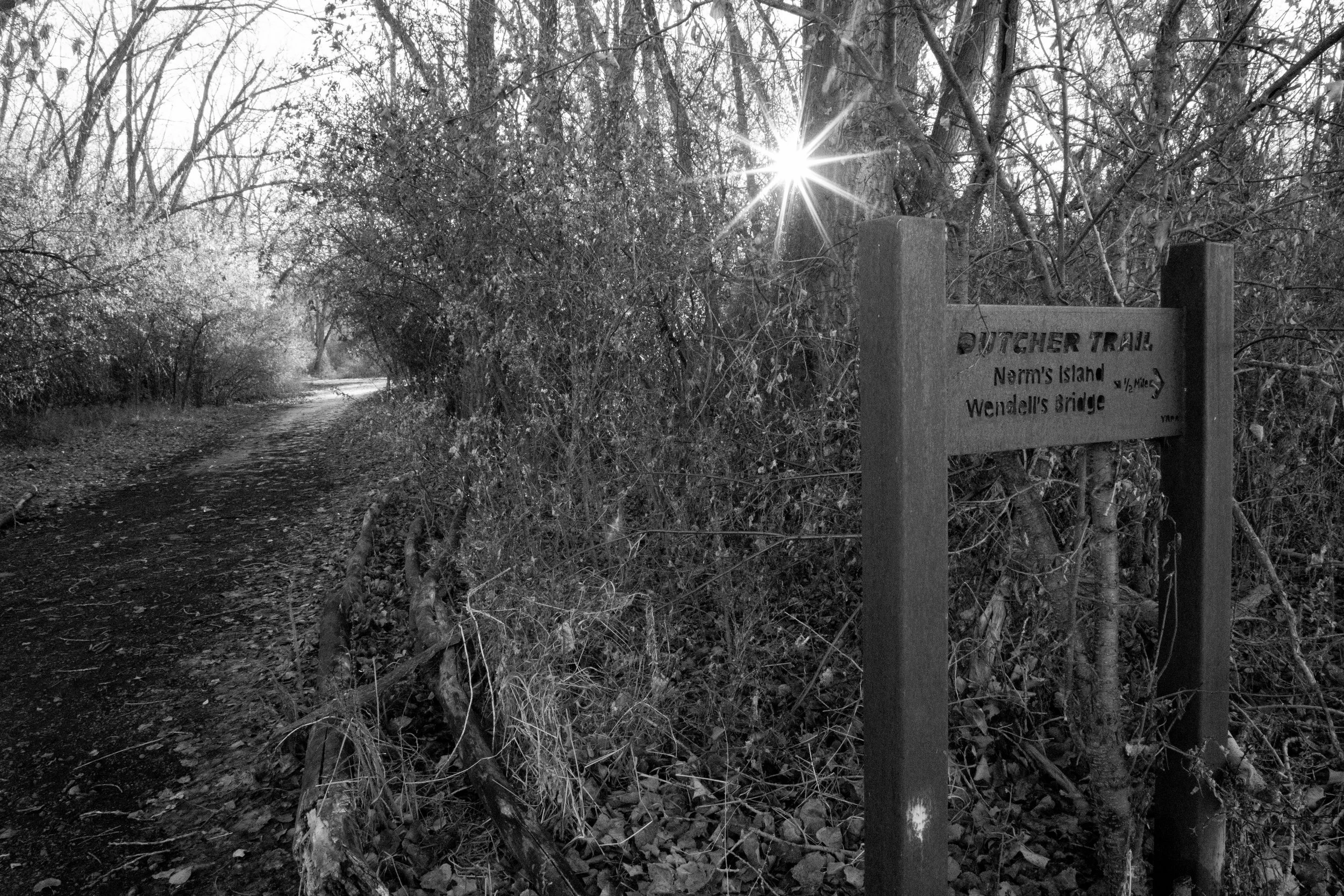 Dutcher's Trail Entrance.jpg