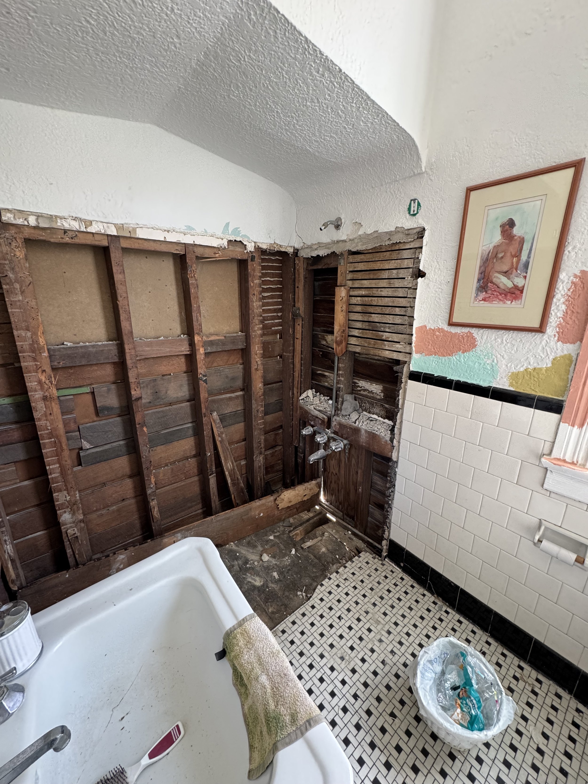Bathroom demolition exposing wall framing for shower remodel and waterproofing preparation in New Orleans home