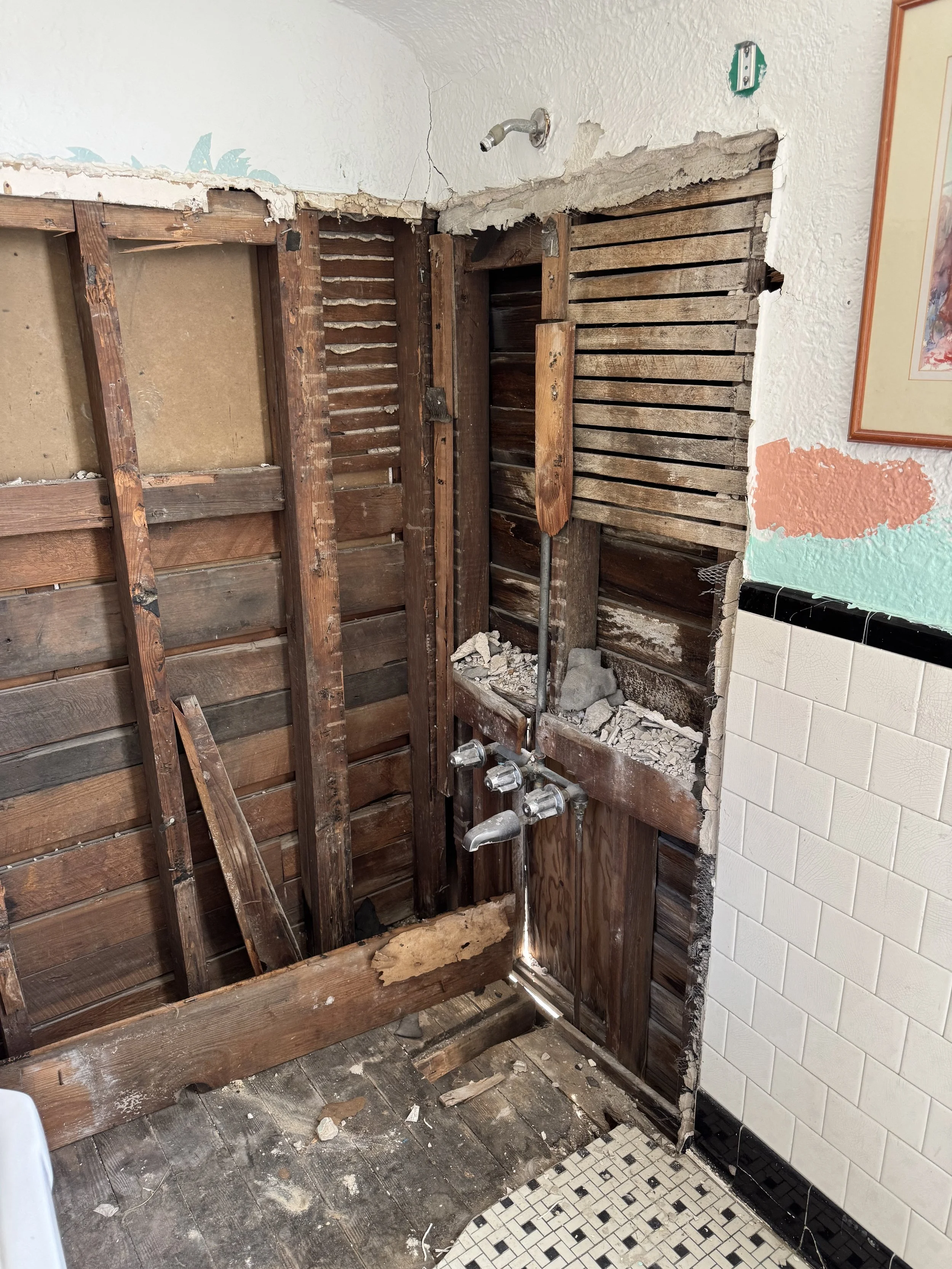 Bathroom demolition exposing wall framing for shower remodel and waterproofing preparation in New Orleans home