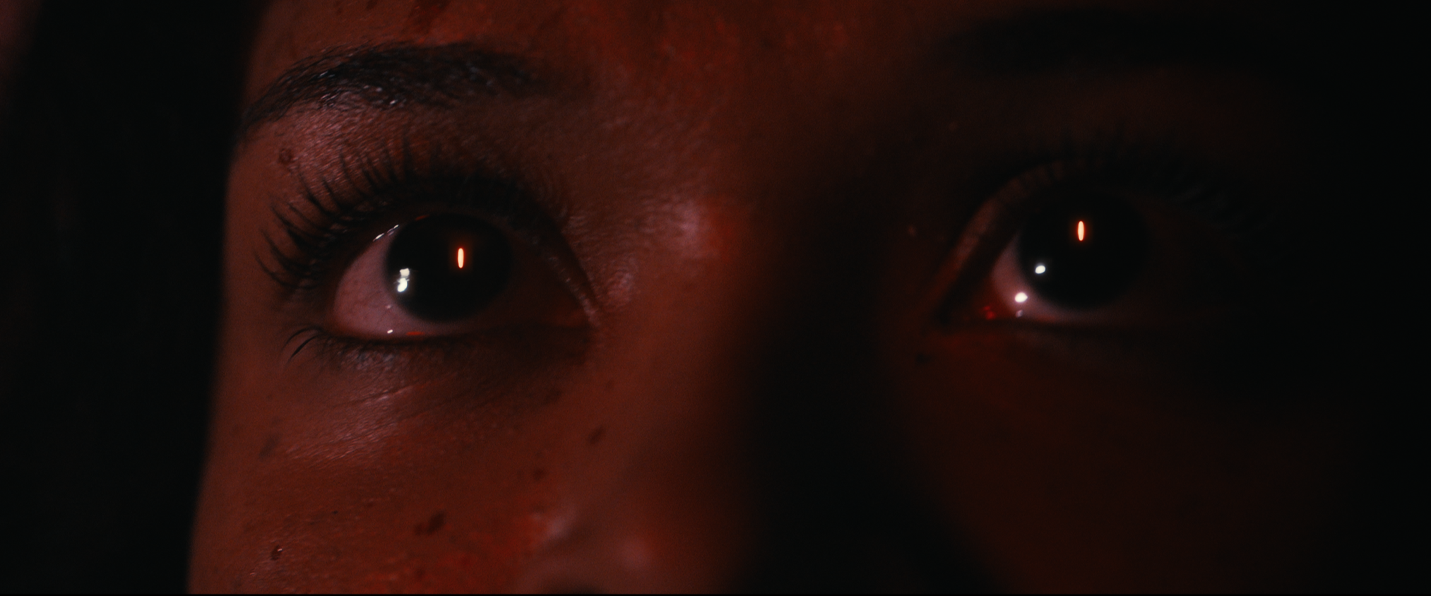 It Took the Night (Short Film)
