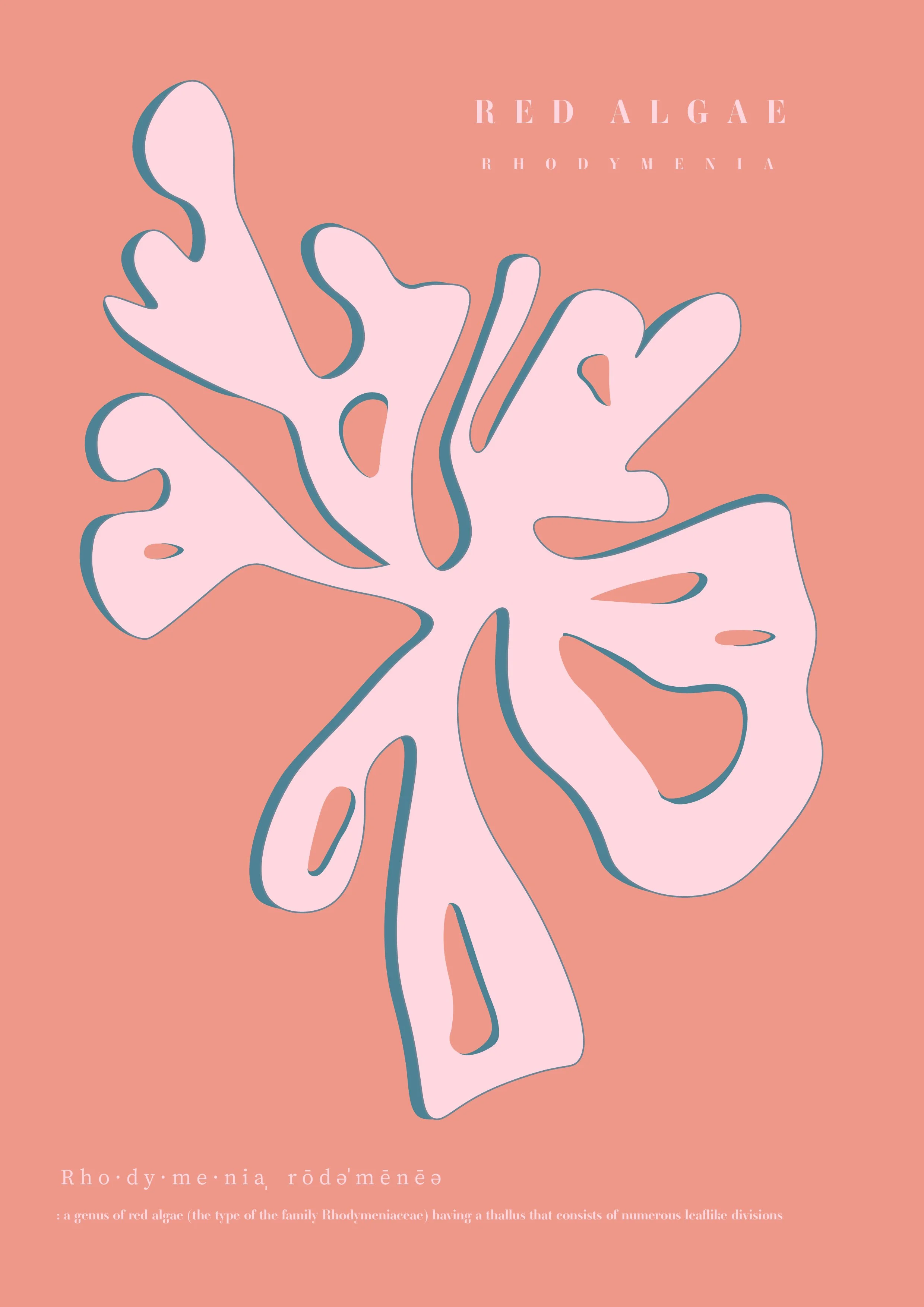 6. Seaweed 6.jpg