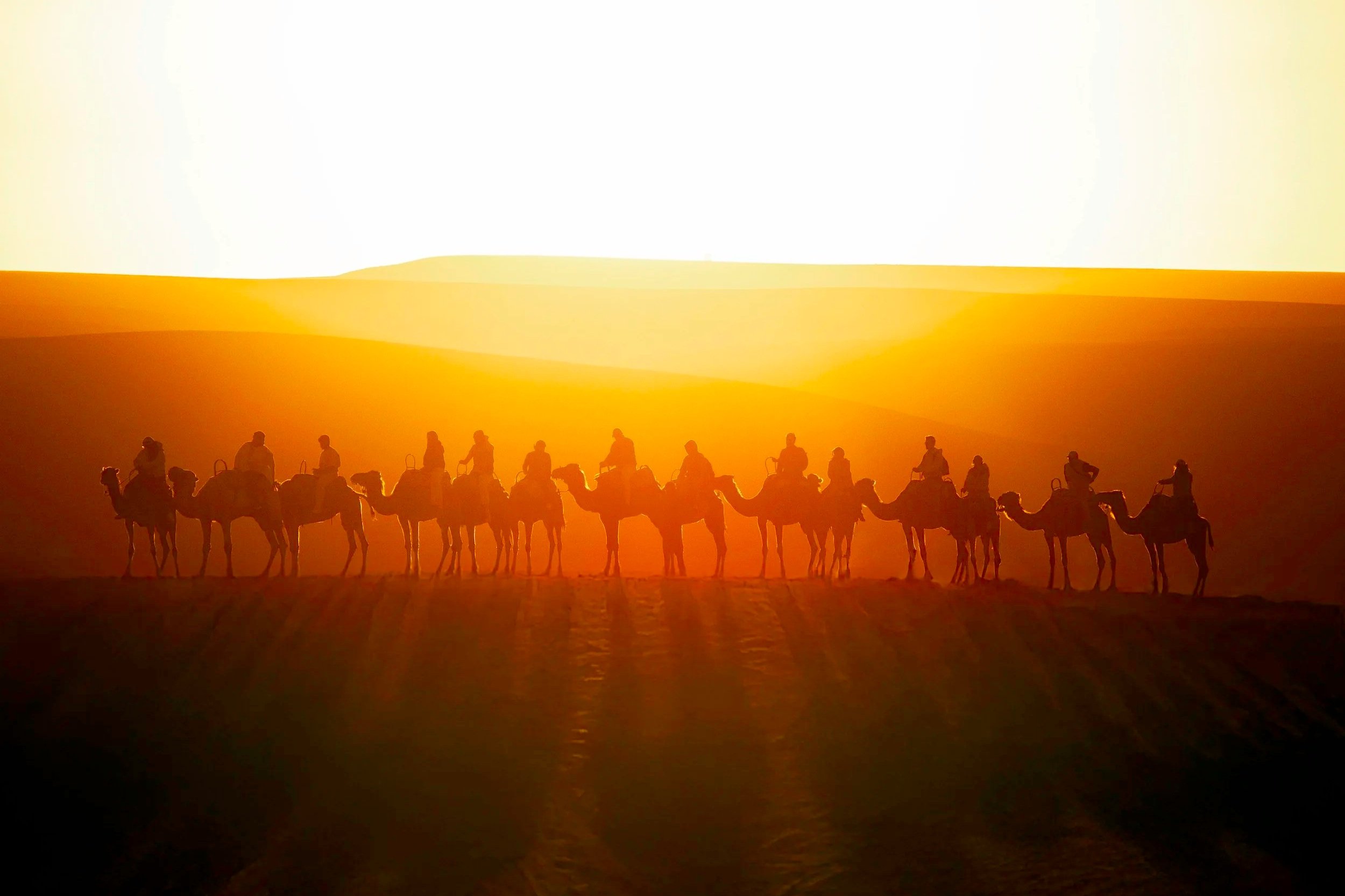 Marrakesh+camels+shadows++copy.jpg