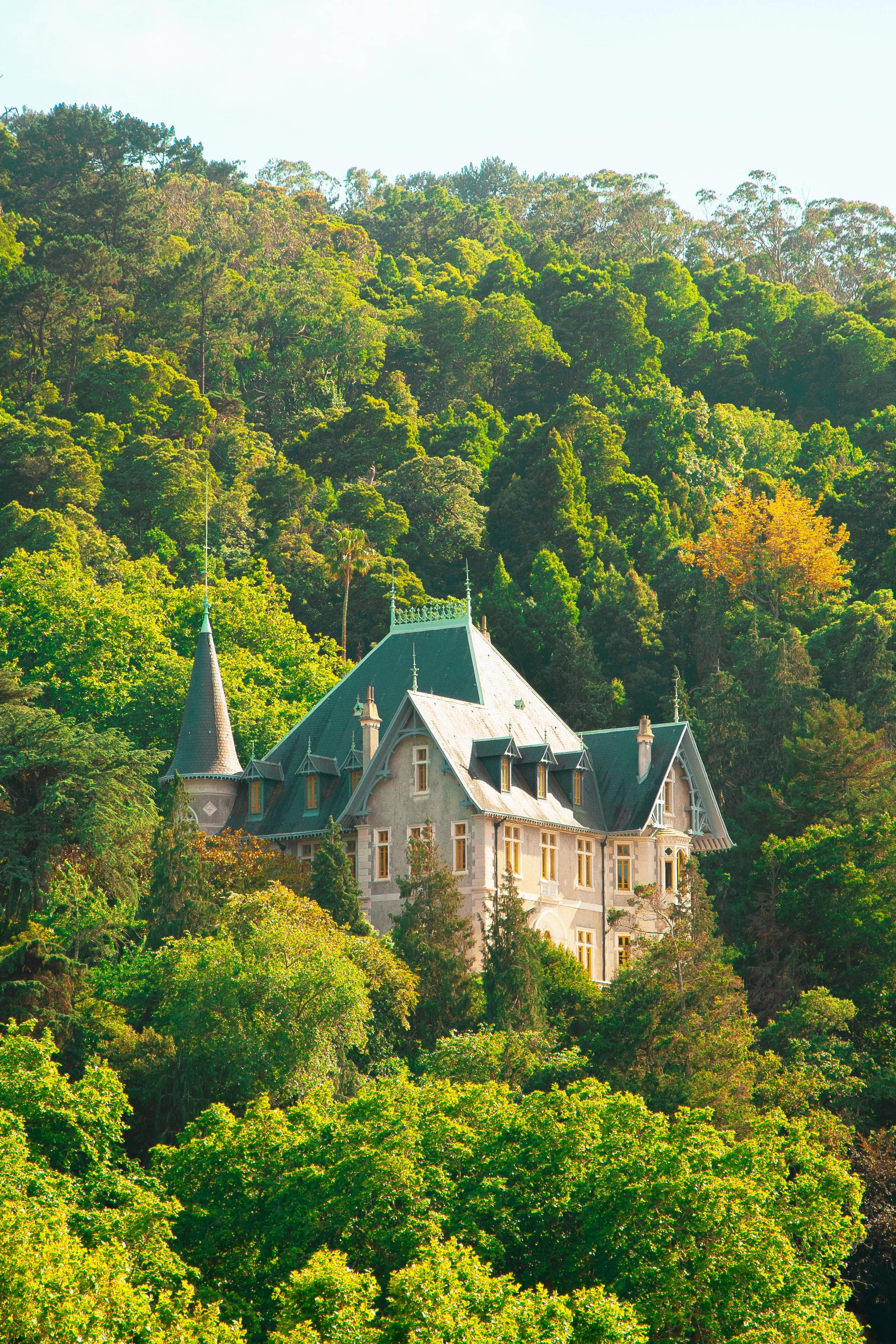 11. The Haunted Housejpg 3.jpg