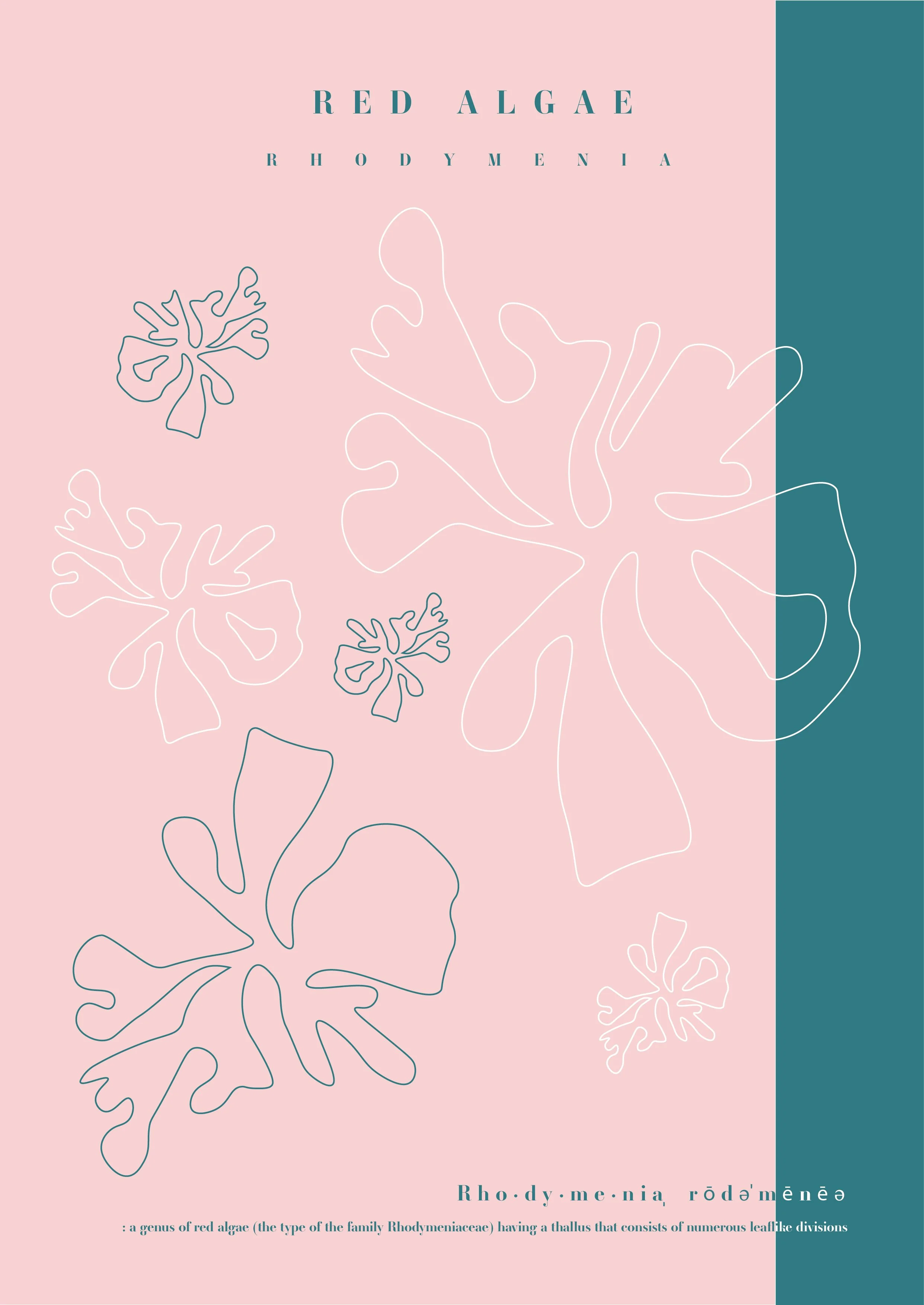 11. Seaweed 11.jpg