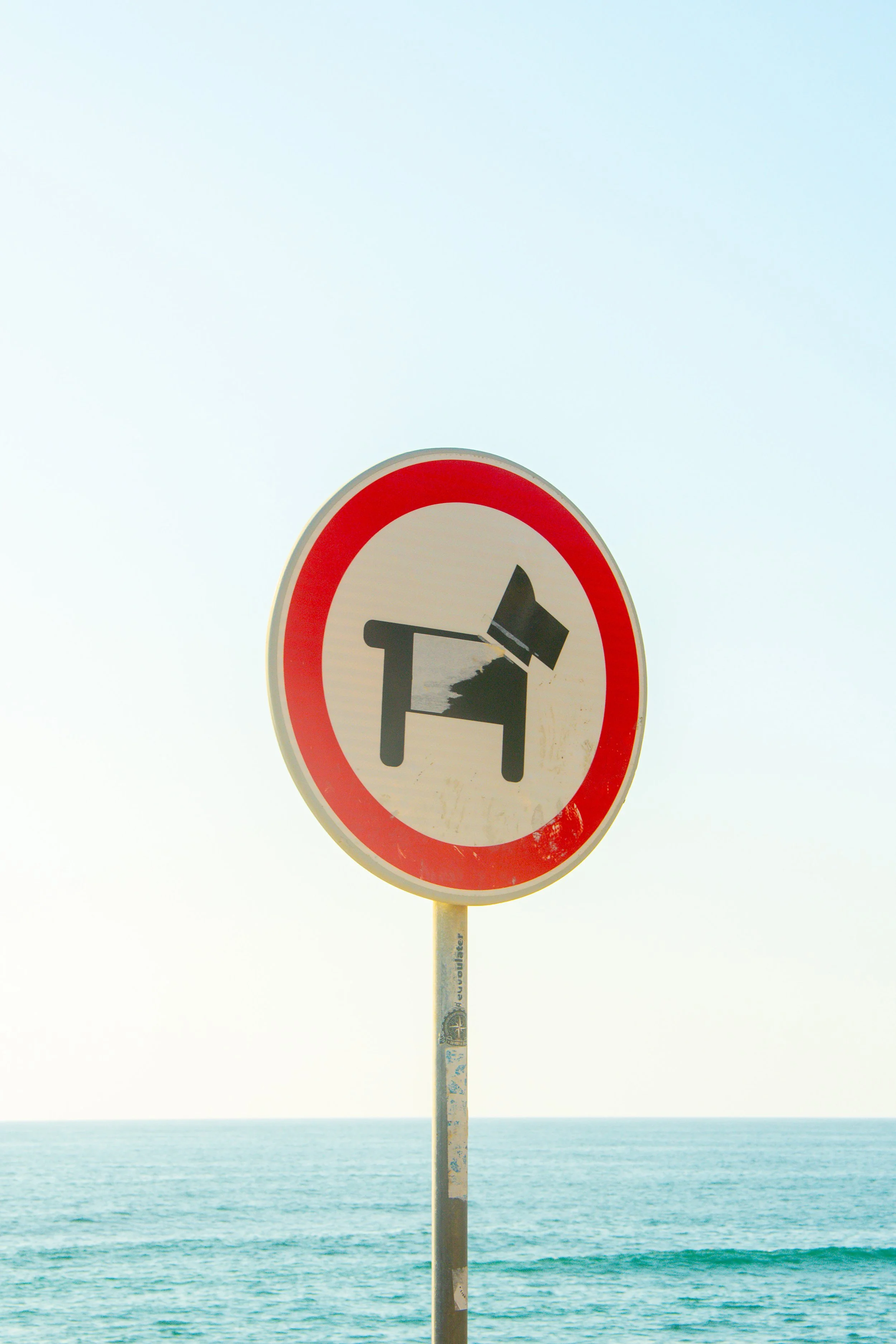 no dogs allowed 240 copy.jpg