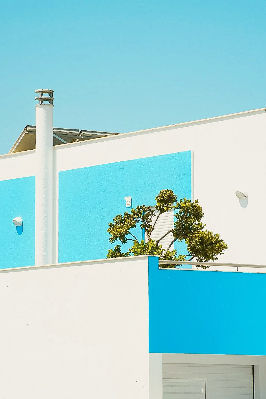 1. Blending with the skies.jpg