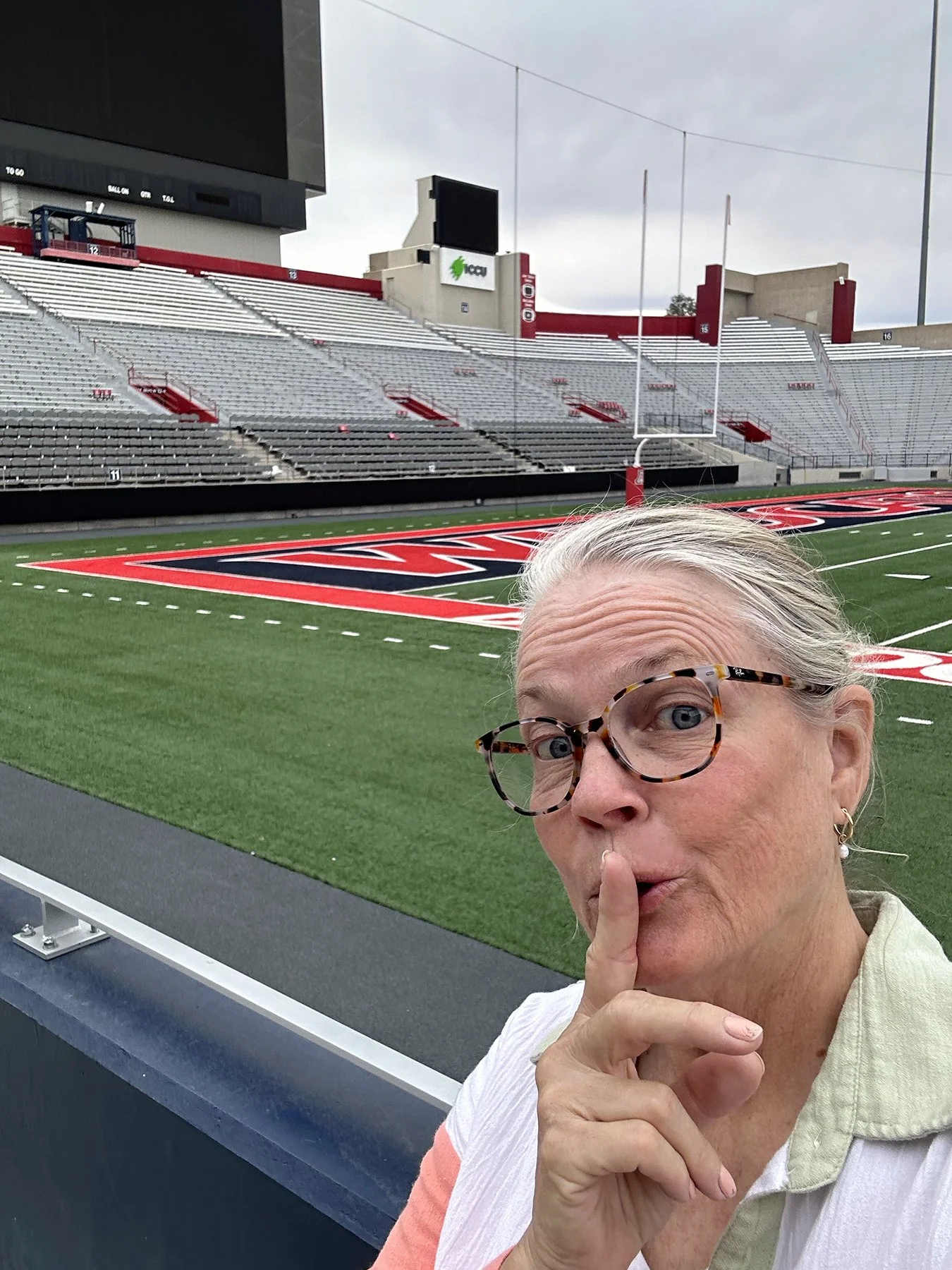 IMG_9559_U of A_Stadium.jpg