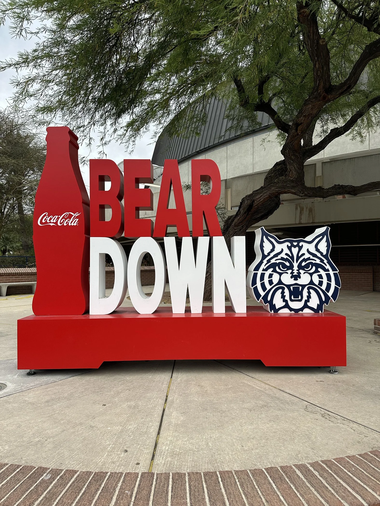 IMG_9563_U of A_Bear Down Sign.jpg