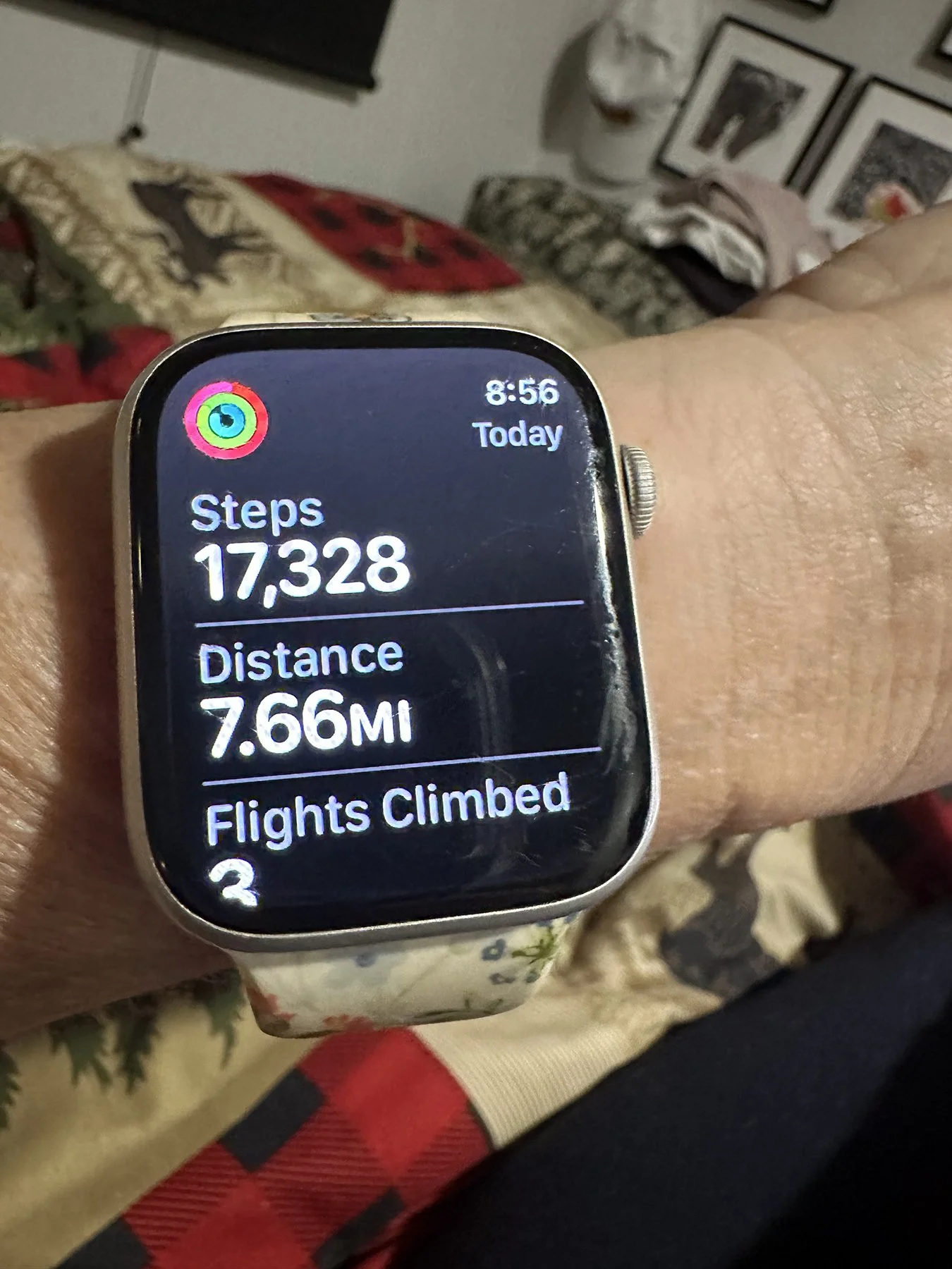 IMG_9577_17,328 steps.jpg