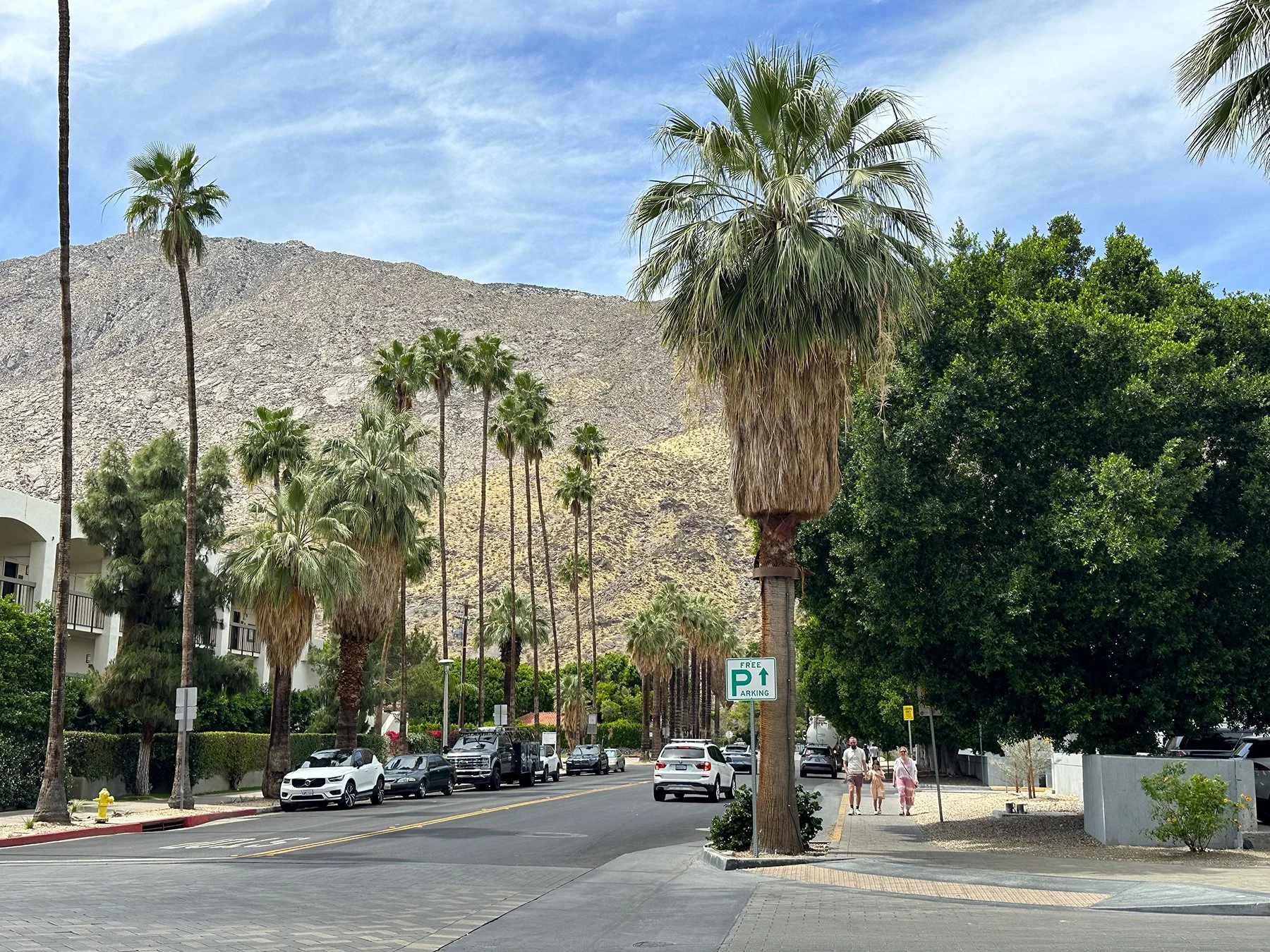 IMG_9732_Palm Springs.jpg