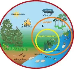 ***Ecosystems Wednesday 12:30-1:20 3rd-5th grade