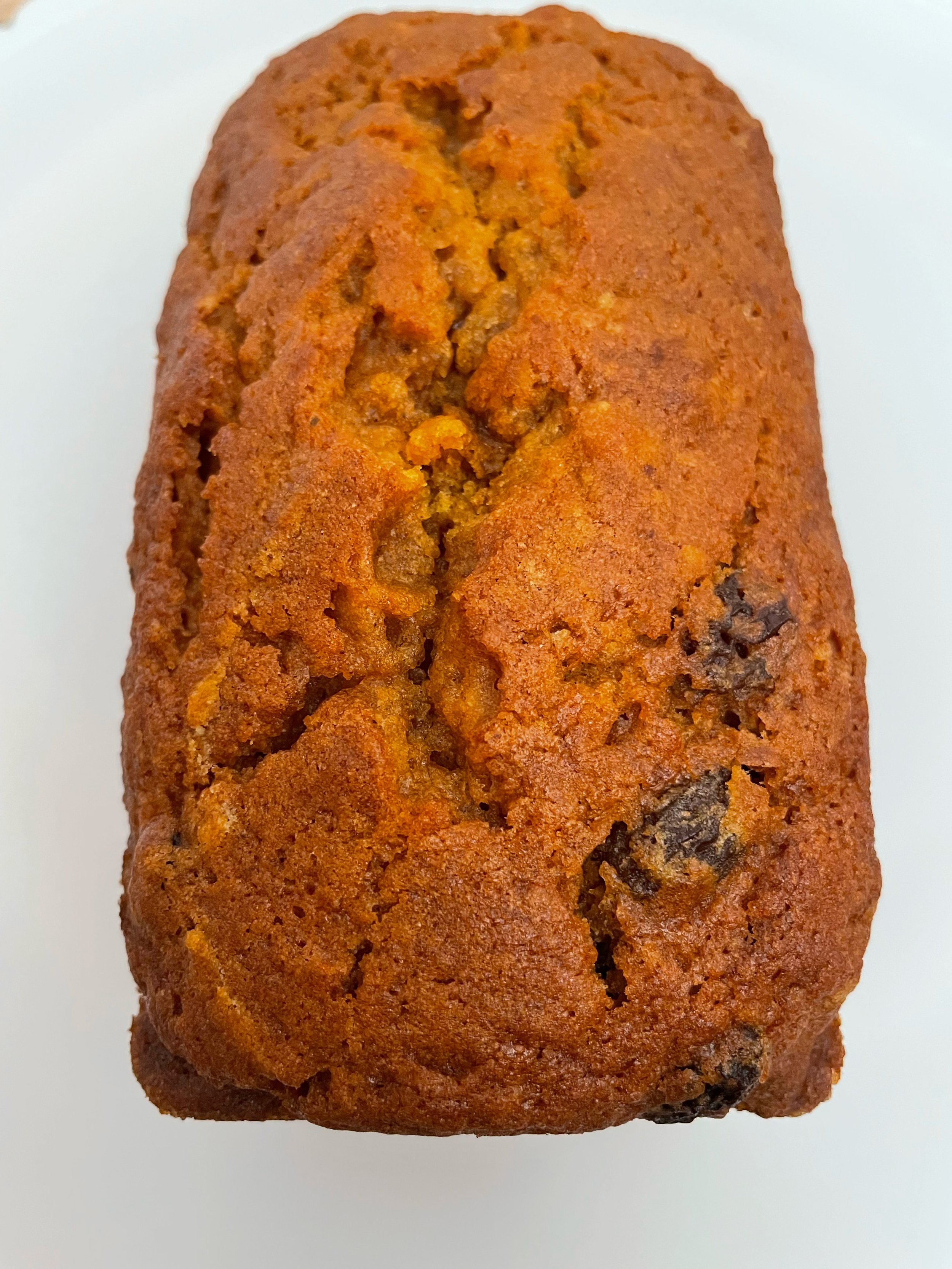 Pumpkin Raisin 2.jpg