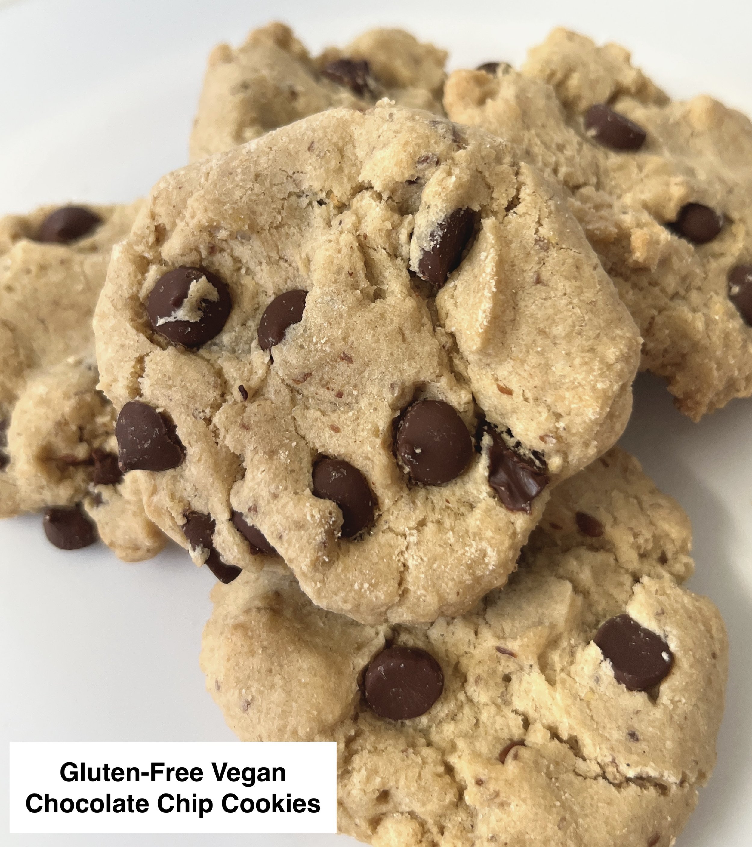 chocolate-chip-cookies-gf-v-3-label.JPG