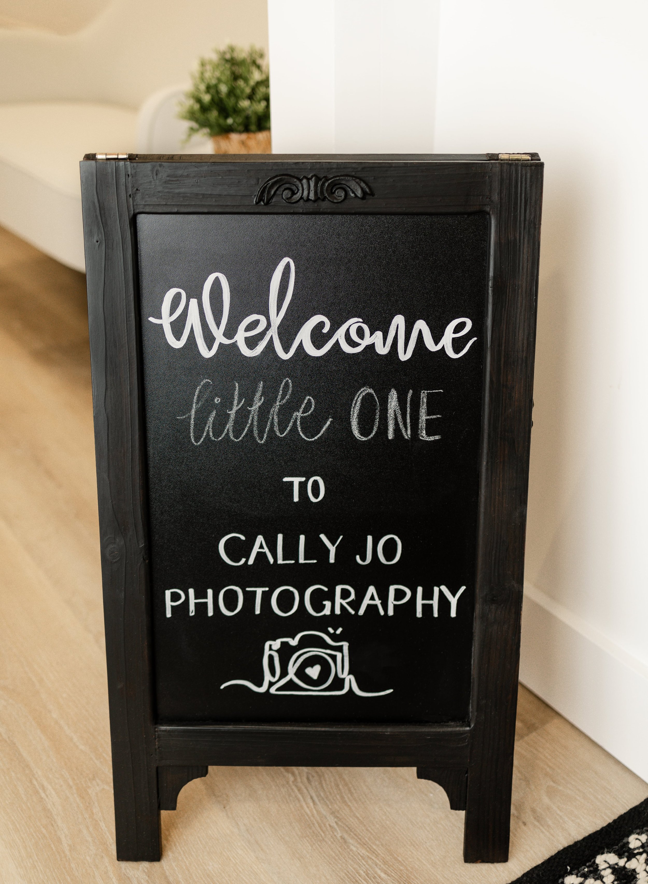 Rockford Newborn Photographer Studio Welcome