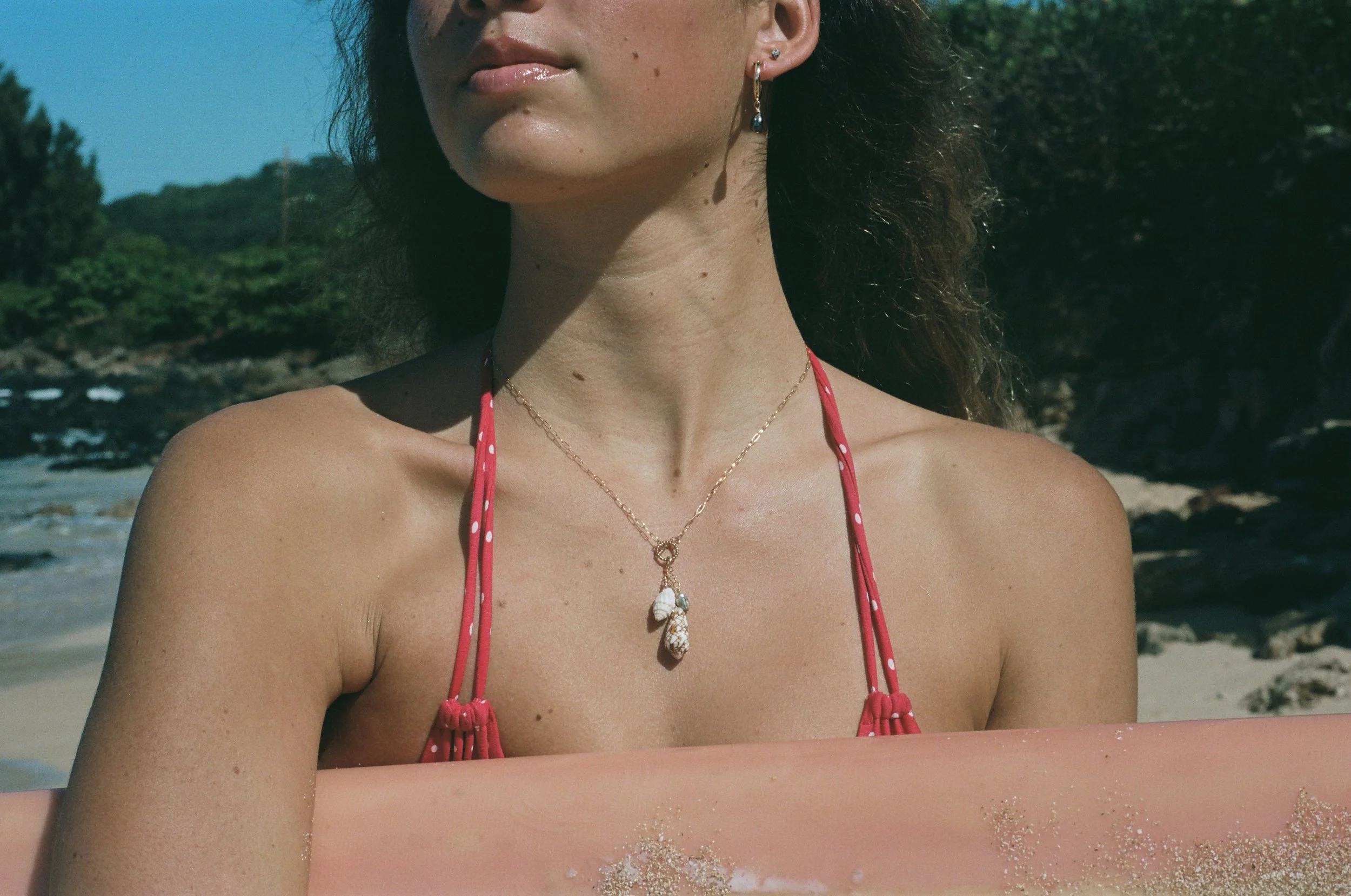 000077100007 (1).jpg