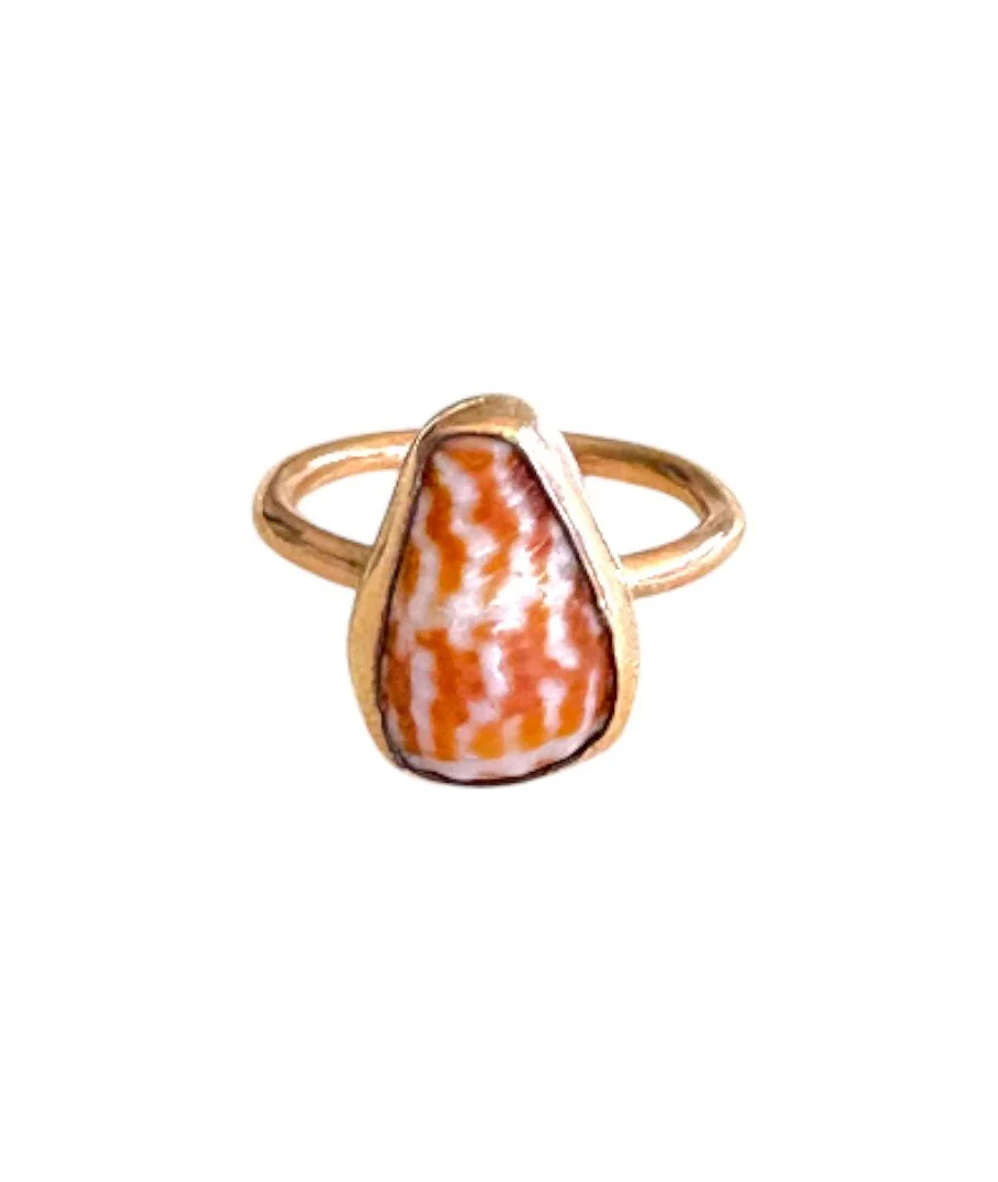 Chaldean Cone Shell Ring on 14K GF (Size 7.5)
