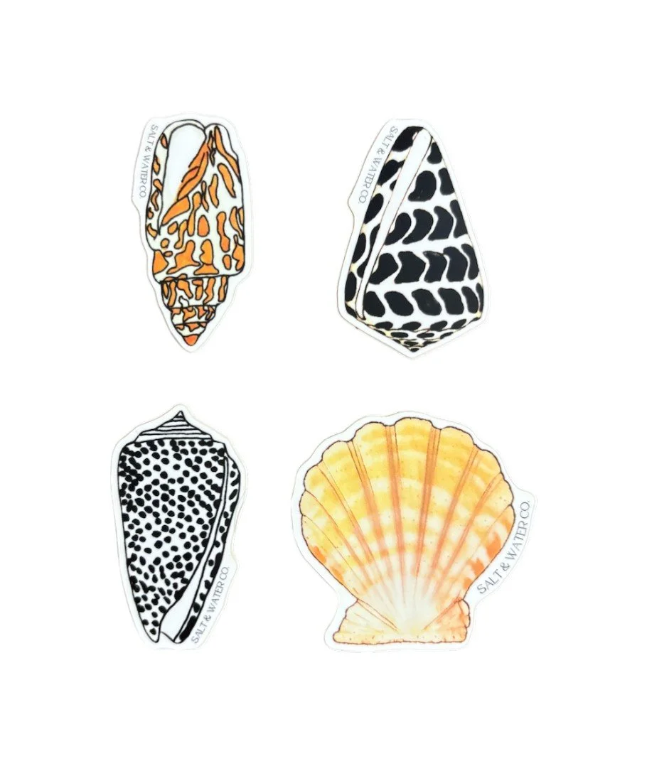 Natural Shell Stickers
