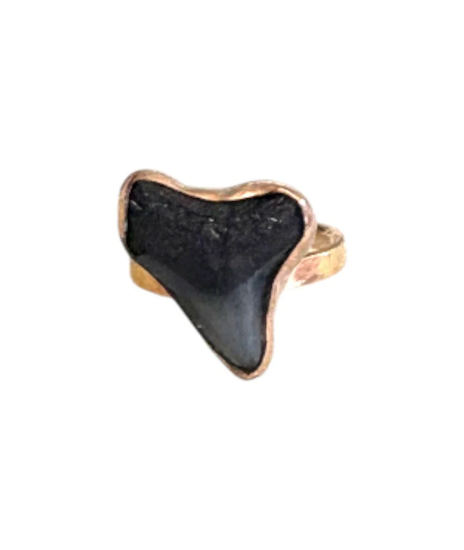 Shark Tooth Ring on 14K GF (Size 4)