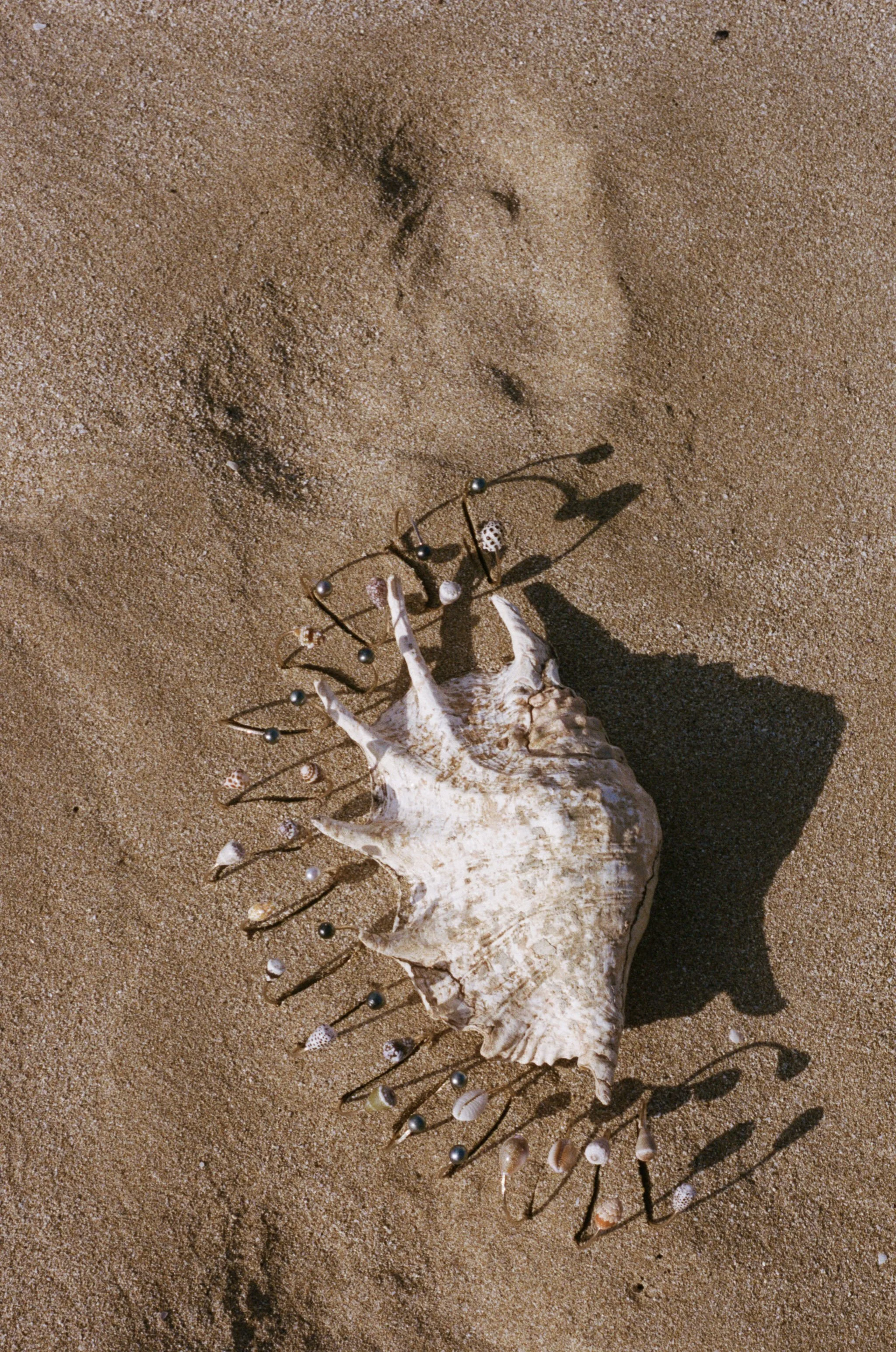 38-C41-22775-1-0033.jpg