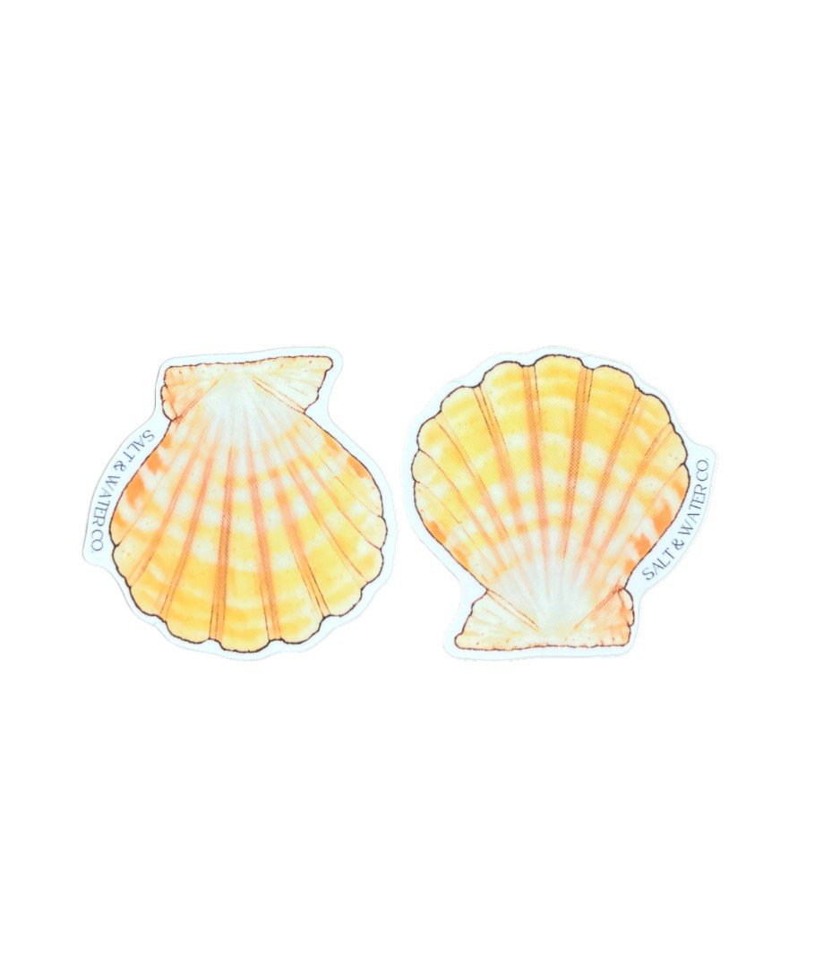 Screenshot 2025-07-17 at 4.53.15 PM-Photoroom (1) copy 8.jpg