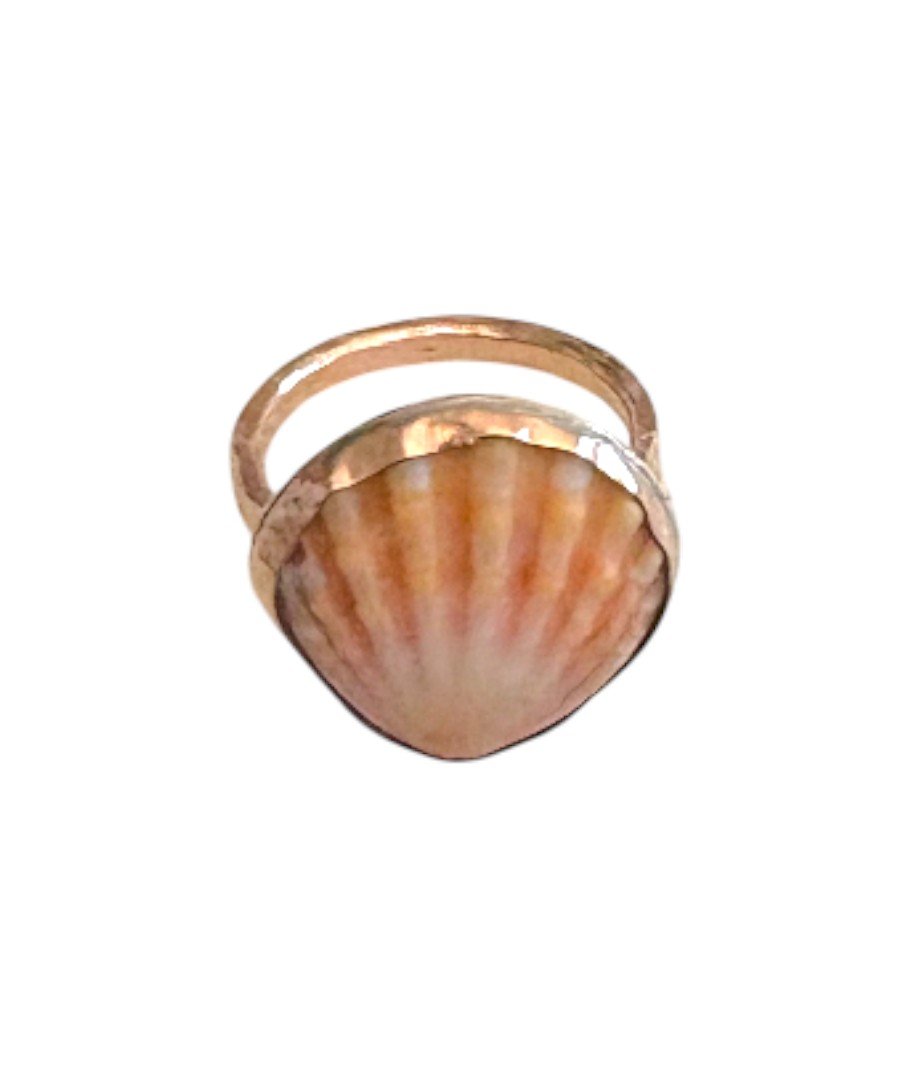 Screenshot 2025-07-17 at 4.53.15 PM-Photoroom (1) copy 50.jpg