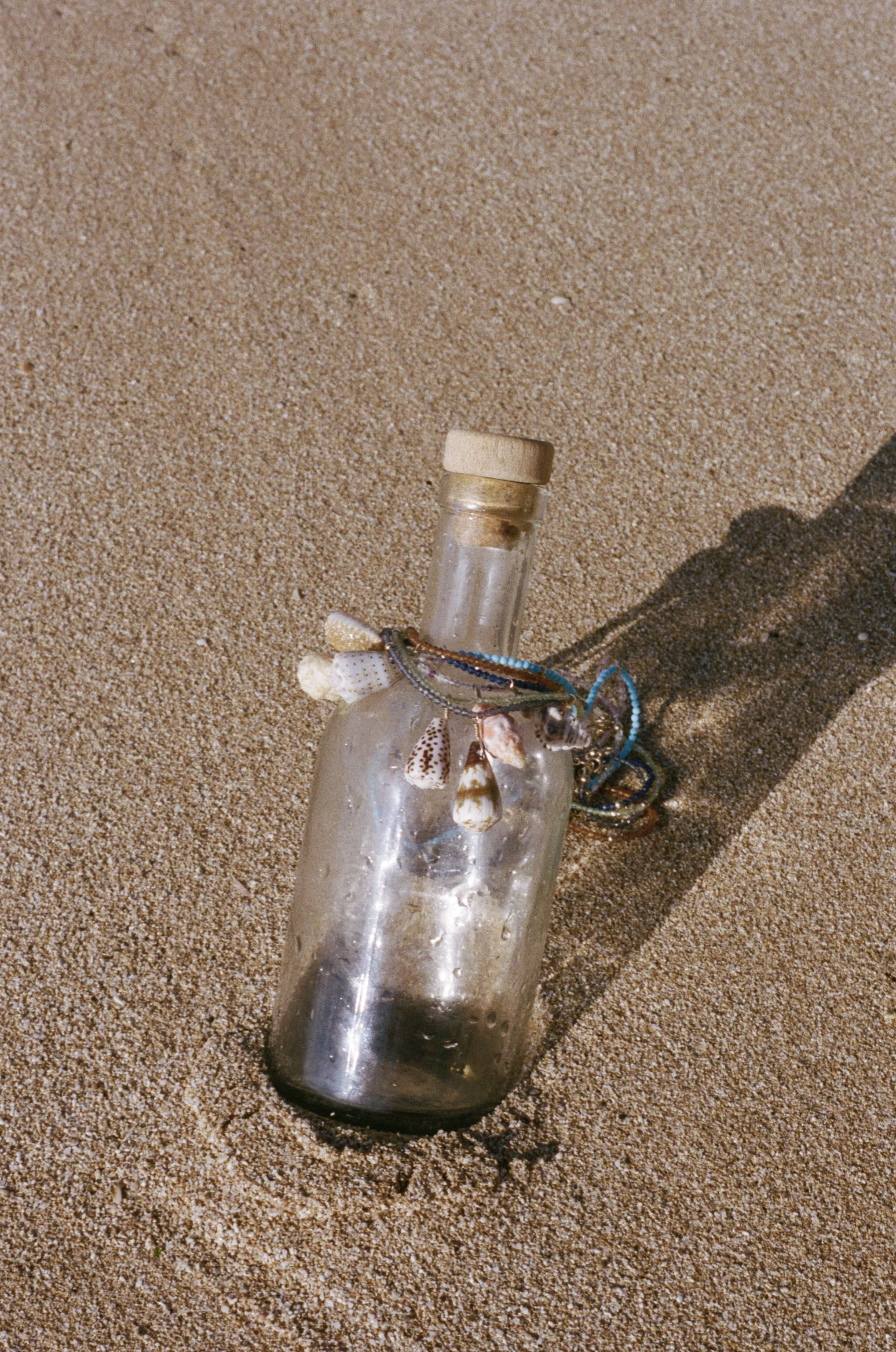 41-C41-22775-1-0036.jpg