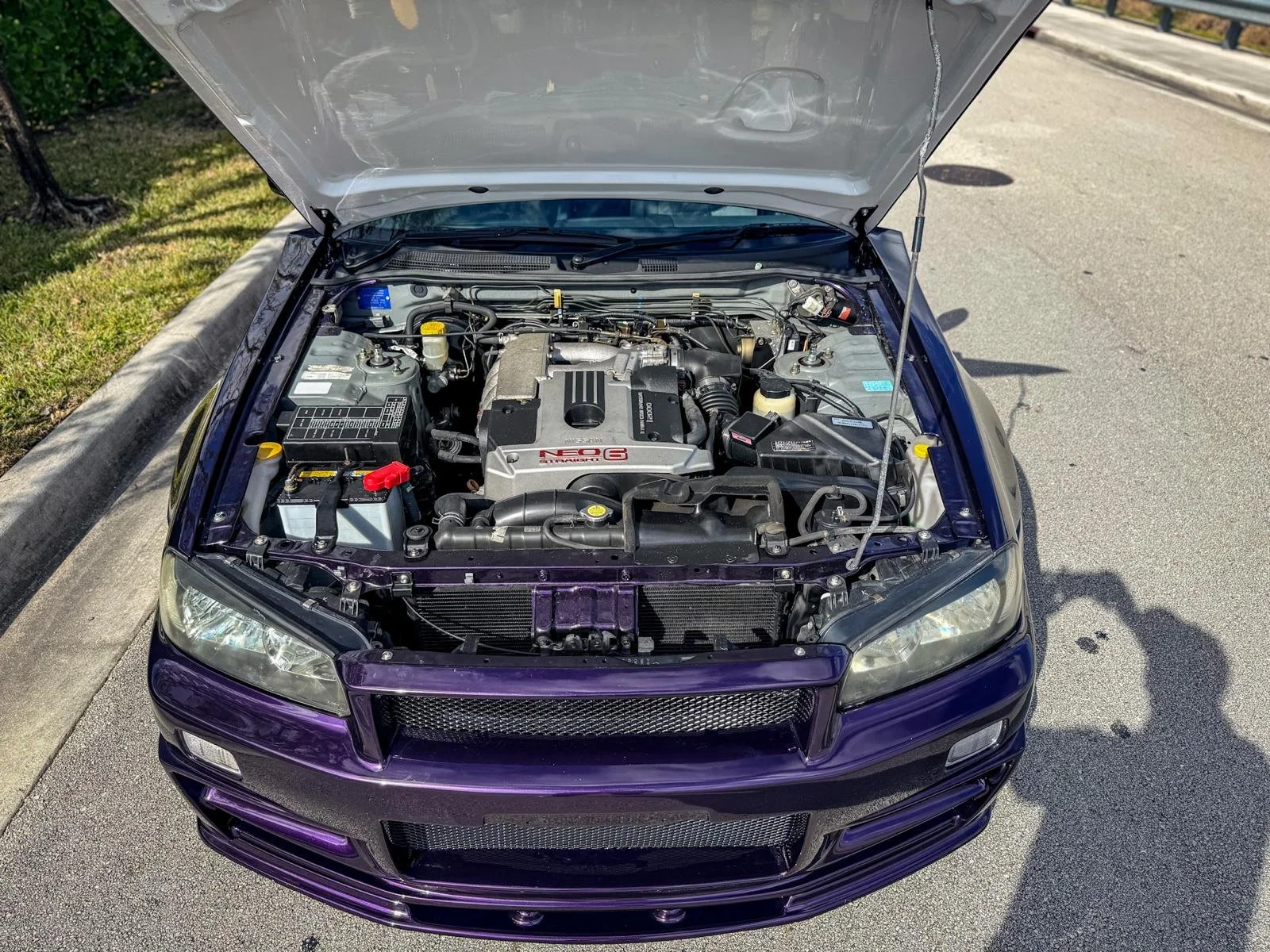 WhatsApp Image 2026-02-08 at 17.36.38.jpeg