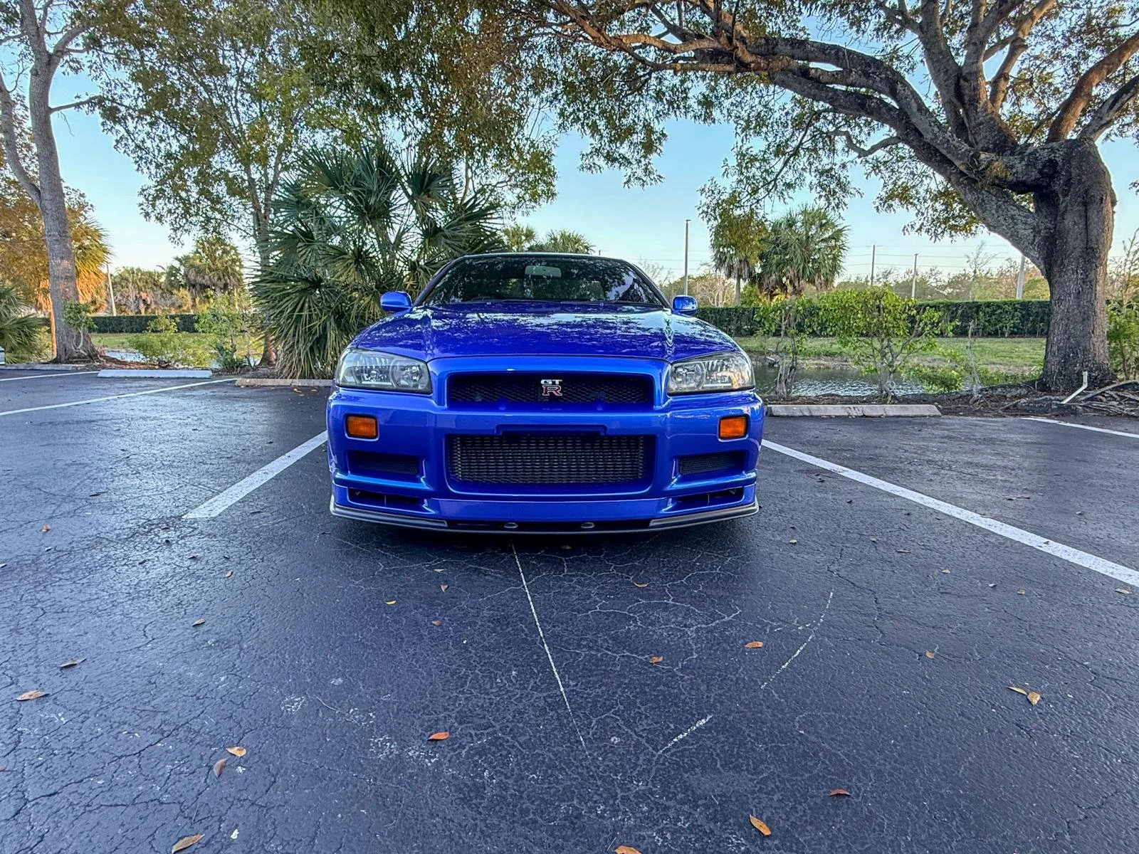 r34_gtr_bayside blue51.jpeg