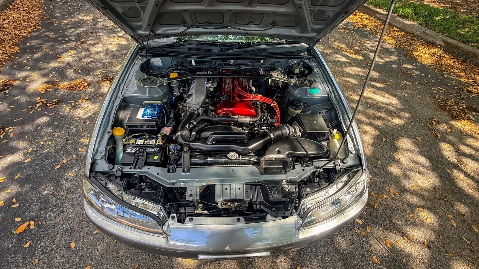 WhatsApp Image 2026-03-22 at 16.21.18 (20).jpeg