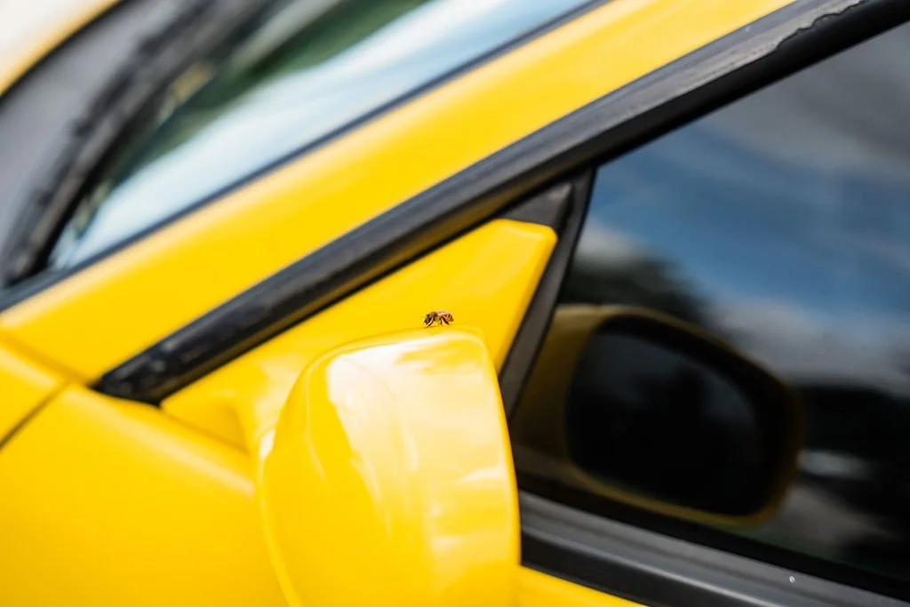 YELLOW34GTT-31.jpg