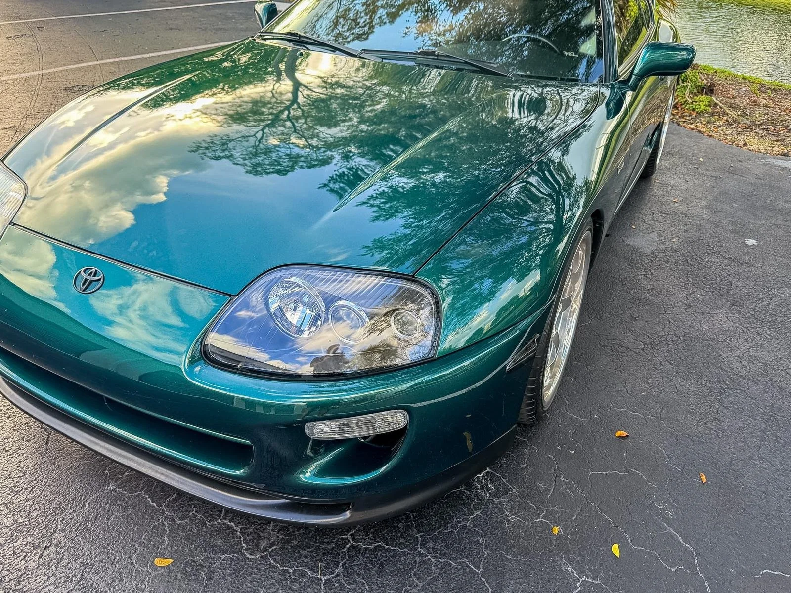 WhatsApp Image 2026-04-01 at 09.46.34 (12).jpeg