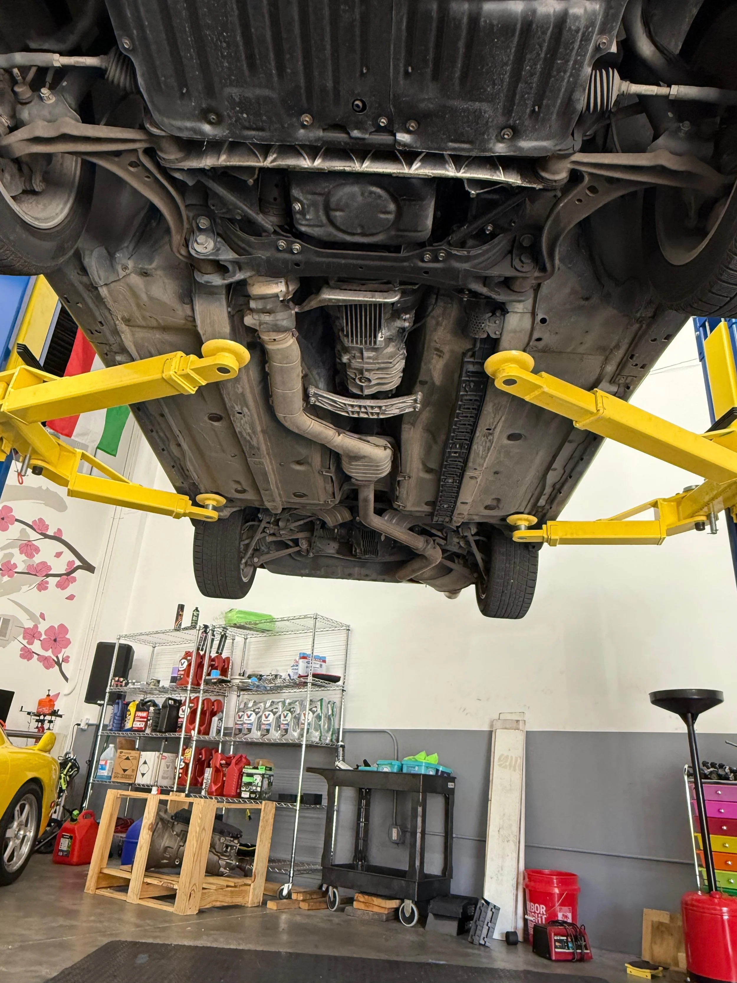 WhatsApp Image 2025-09-29 at 20.15.06 (2).jpeg