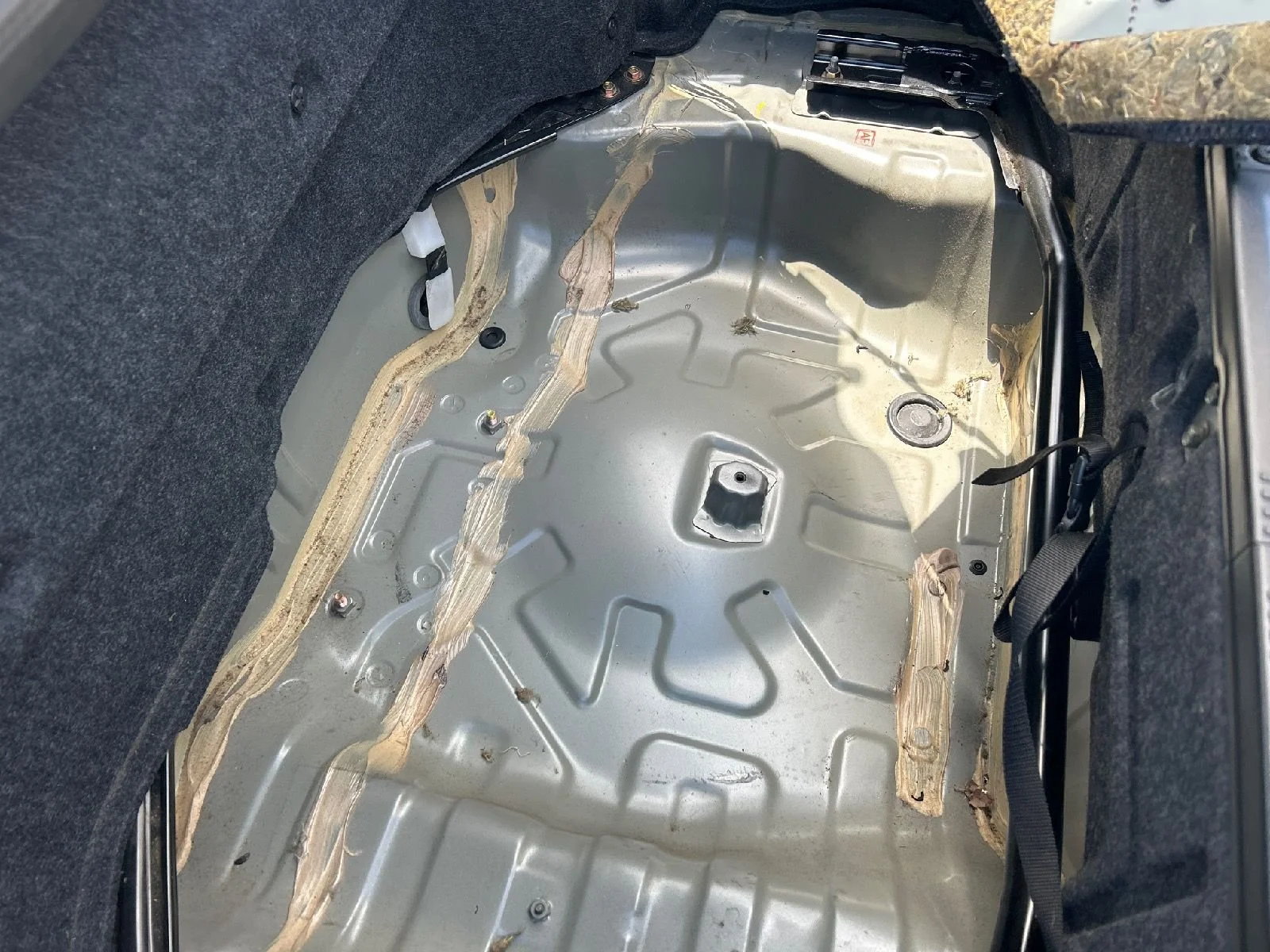 WhatsApp Image 2025-07-31 at 12.01.07 (3).jpeg