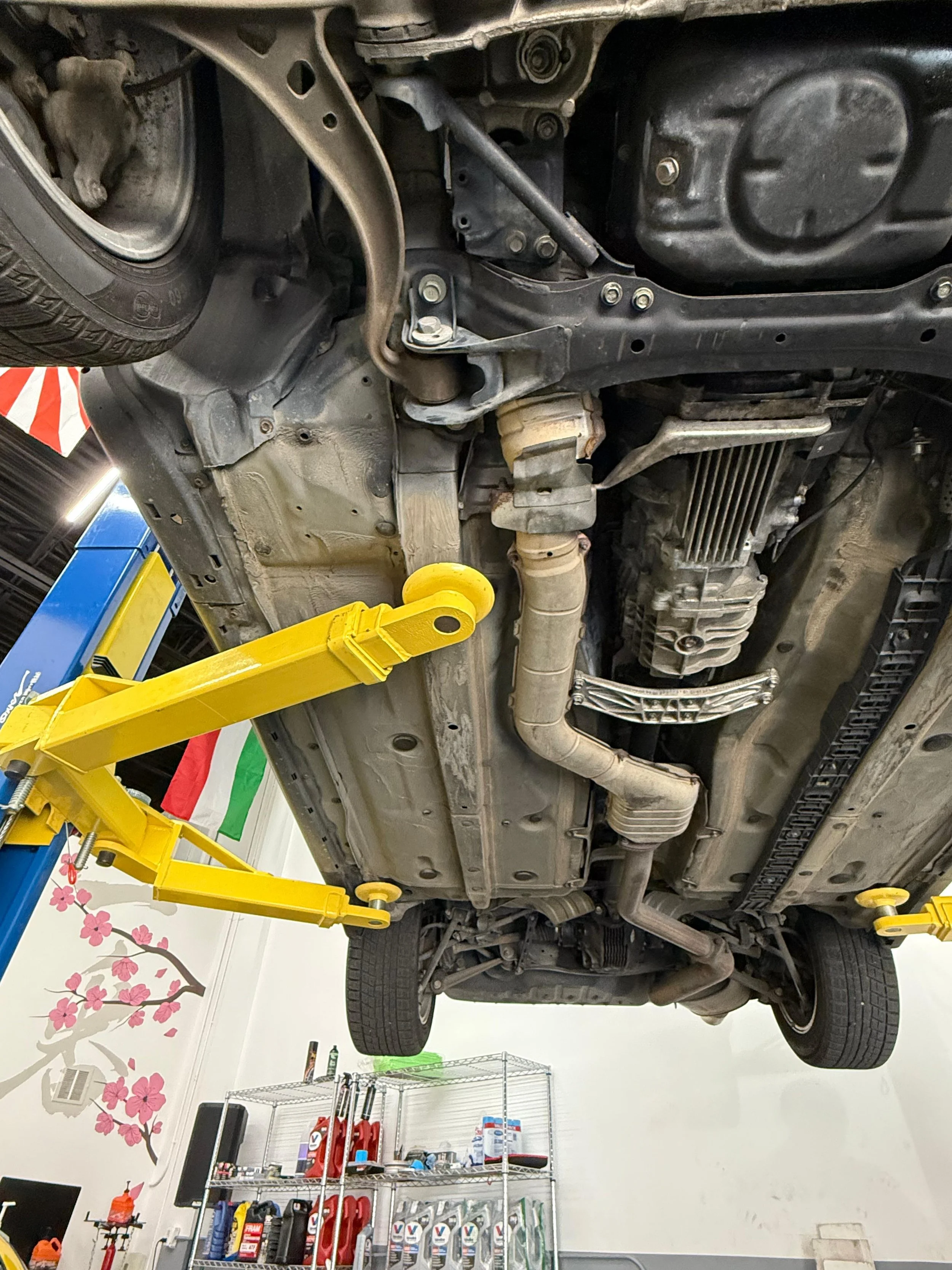 WhatsApp Image 2025-09-29 at 20.15.07.jpeg