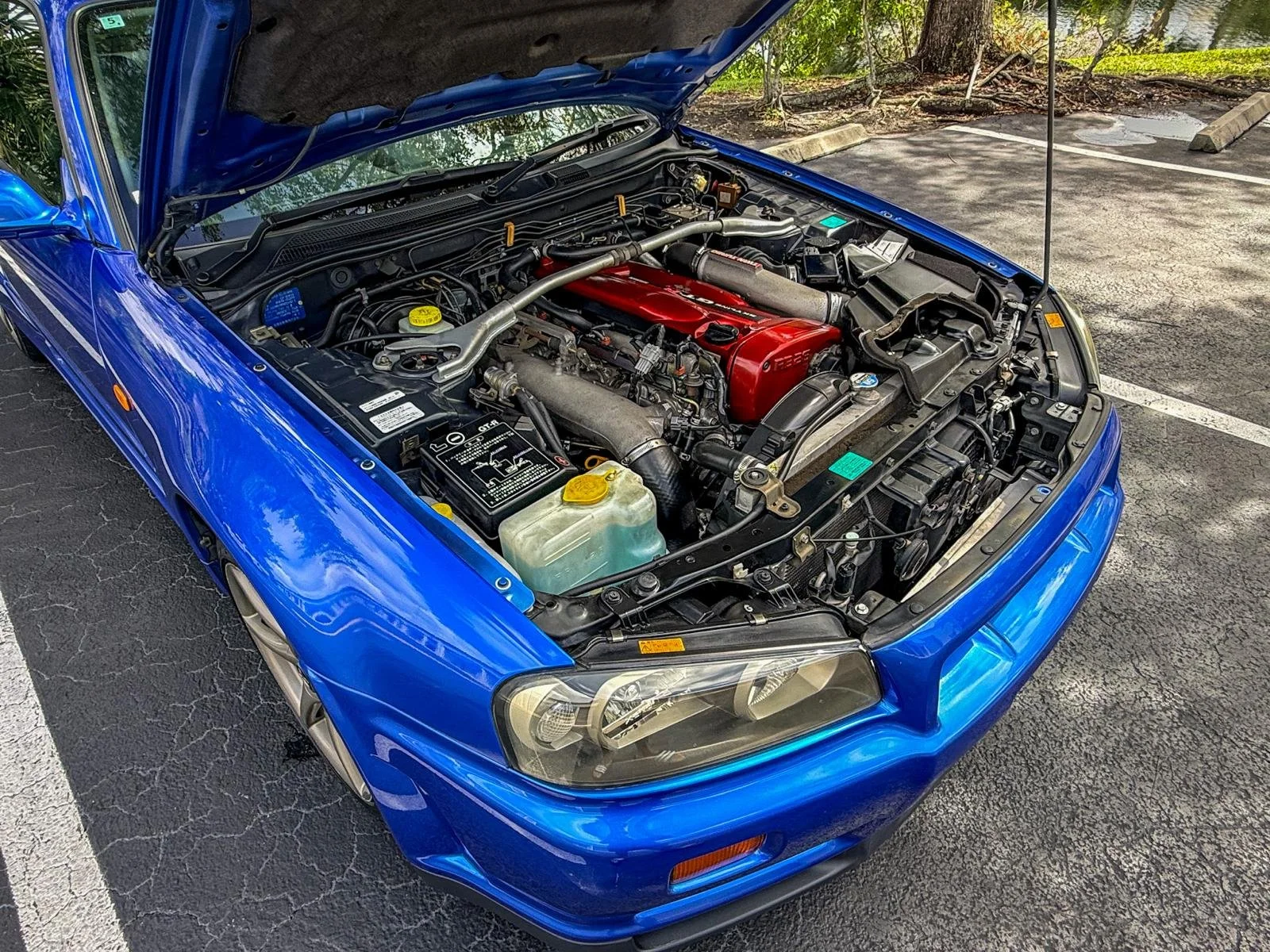 WhatsApp Image 2026-04-09 at 18.32.14 (3).jpeg