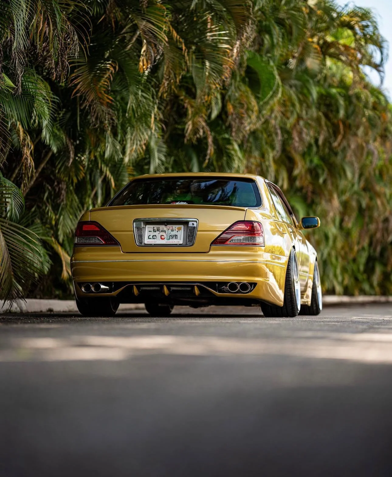 WhatsApp Image 2026-04-17 at 11.08.25 (4).jpeg