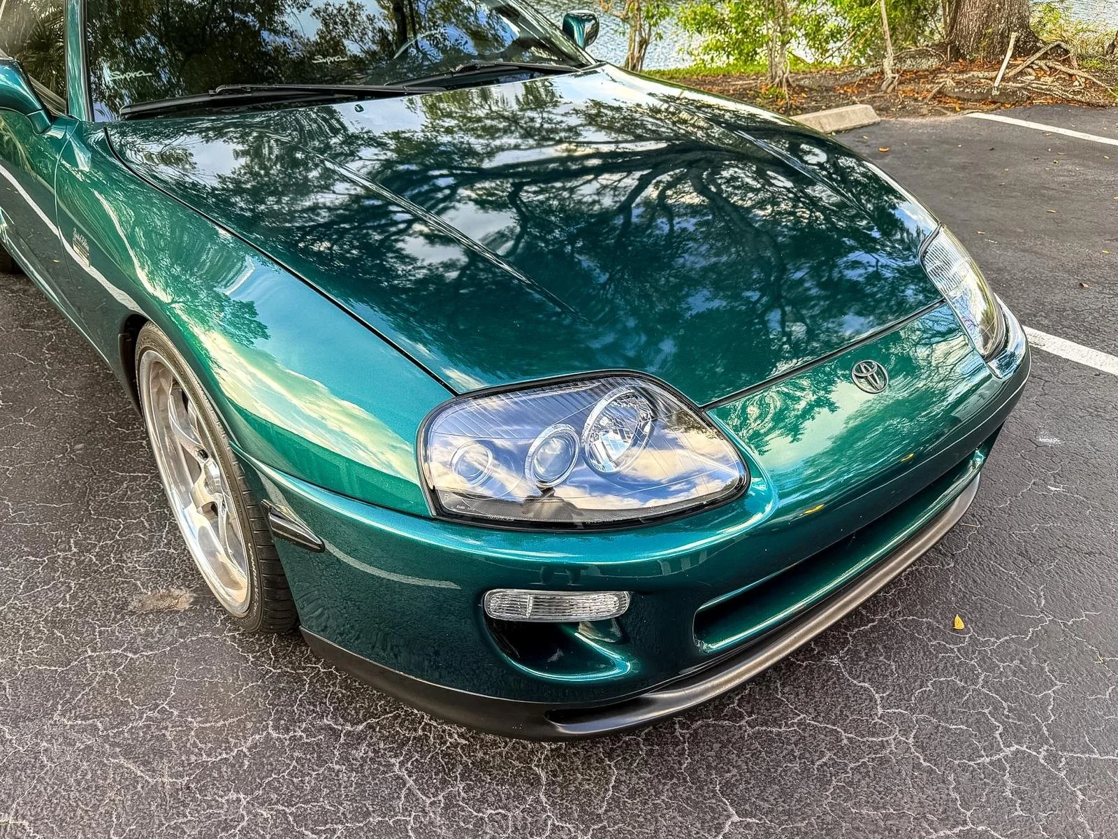 WhatsApp Image 2026-04-01 at 09.46.34 (11).jpeg