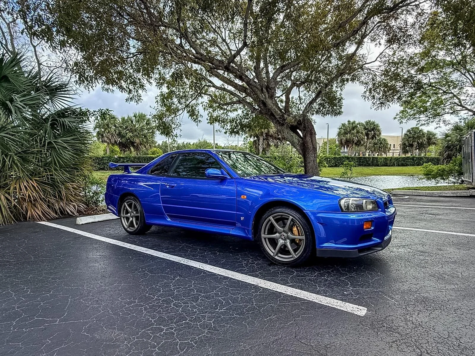 WhatsApp Image 2026-04-09 at 18.32.20 (3).jpeg