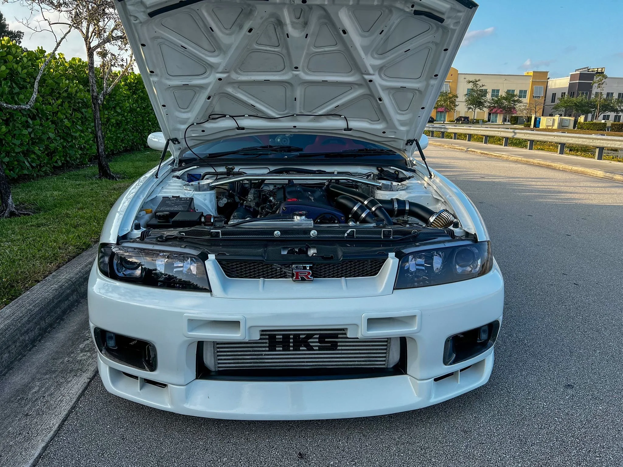 PHOTO-2024-05-07-19-01-01 2.jpg