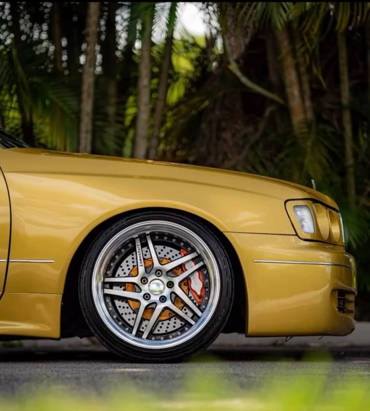 WhatsApp Image 2026-04-17 at 11.08.24 (1).jpeg