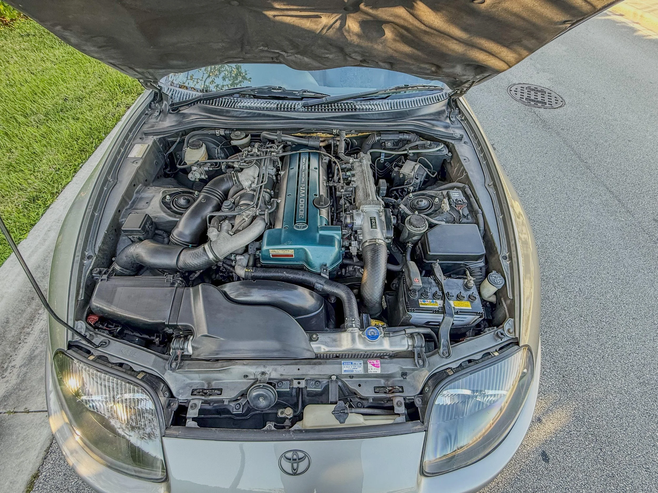 WhatsApp Image 2025-09-29 at 20.15.04 (8).jpeg