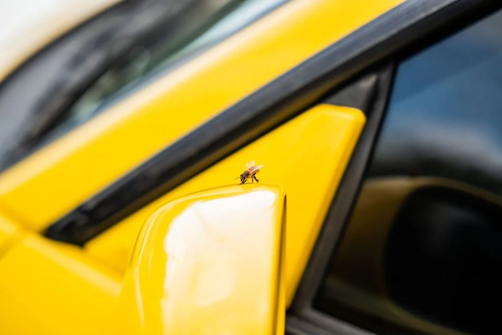 YELLOW34GTT-32.jpg
