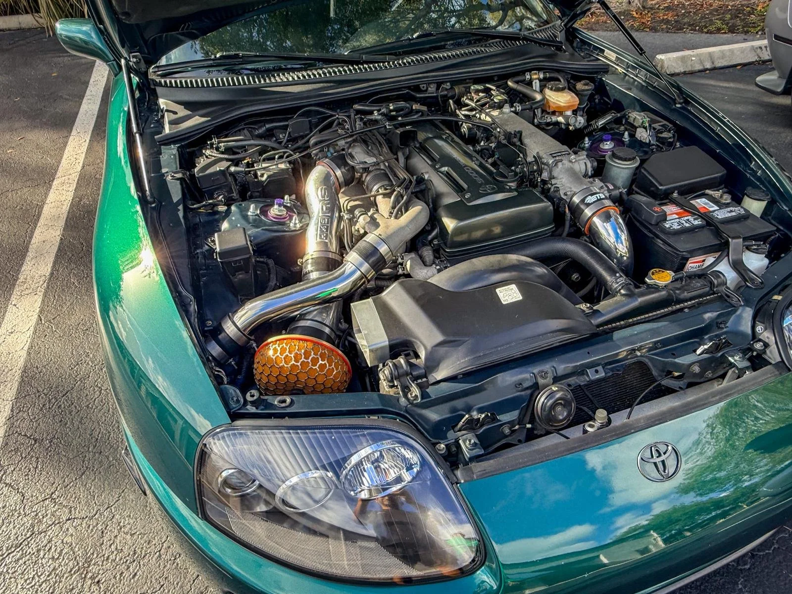 WhatsApp Image 2026-04-01 at 09.46.26.jpeg