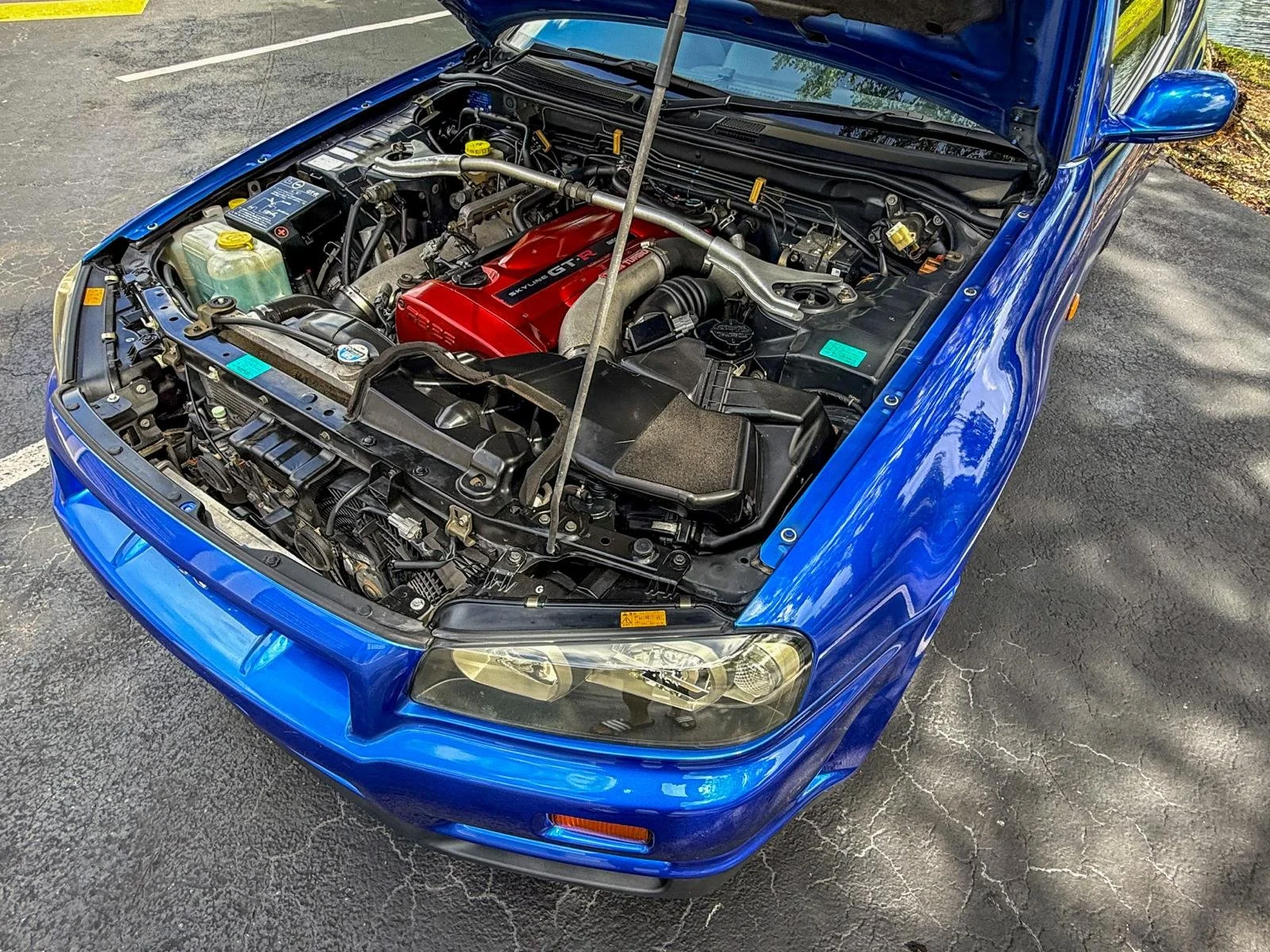 WhatsApp Image 2026-04-09 at 18.32.15.jpeg