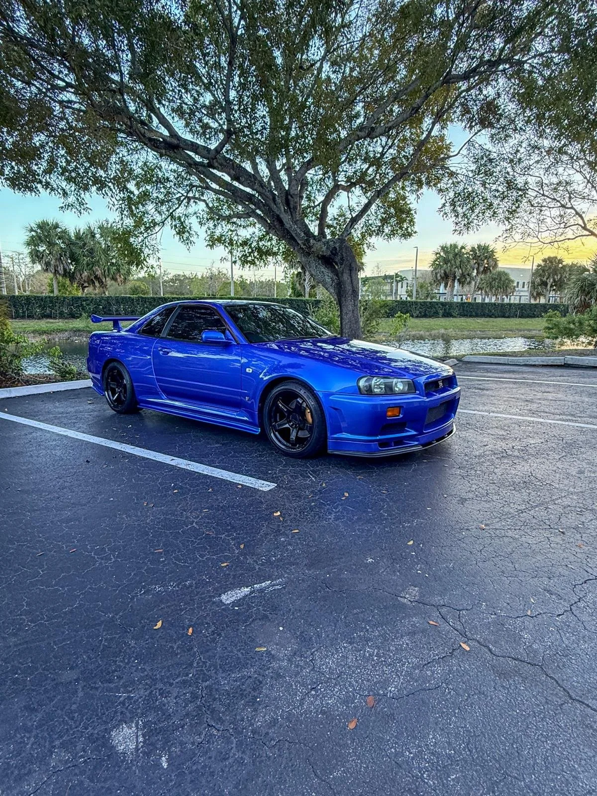 r34_gtr_bayside blue23.jpeg