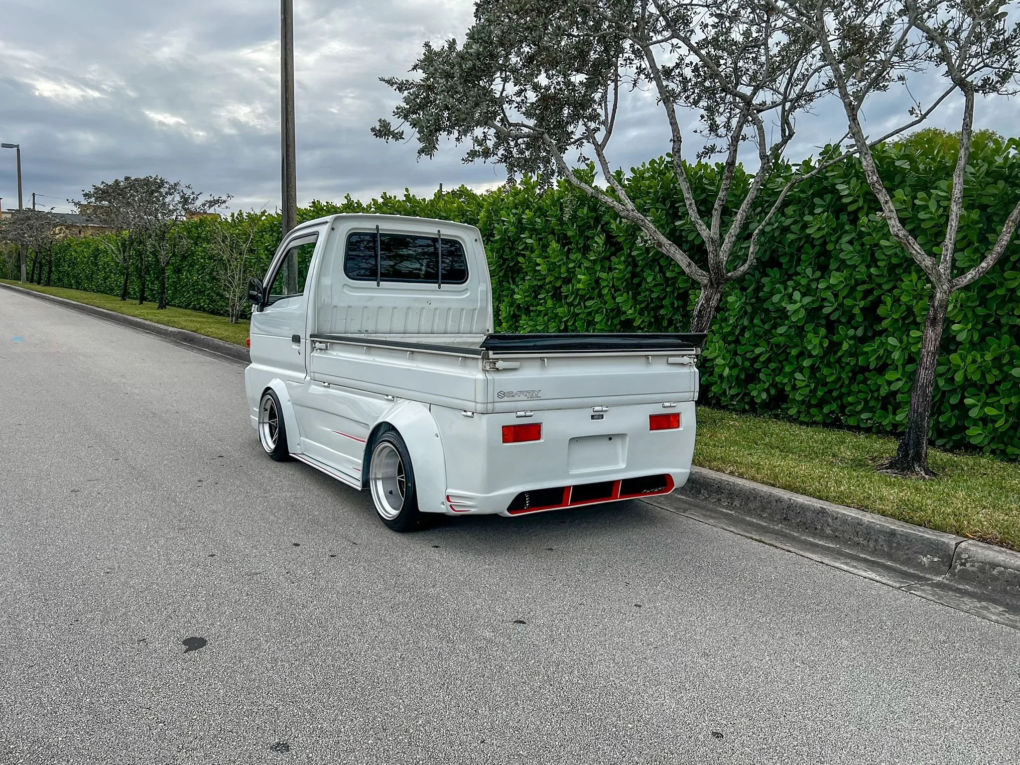 WhatsApp Image 2025-01-24 at 17.26.49.jpeg